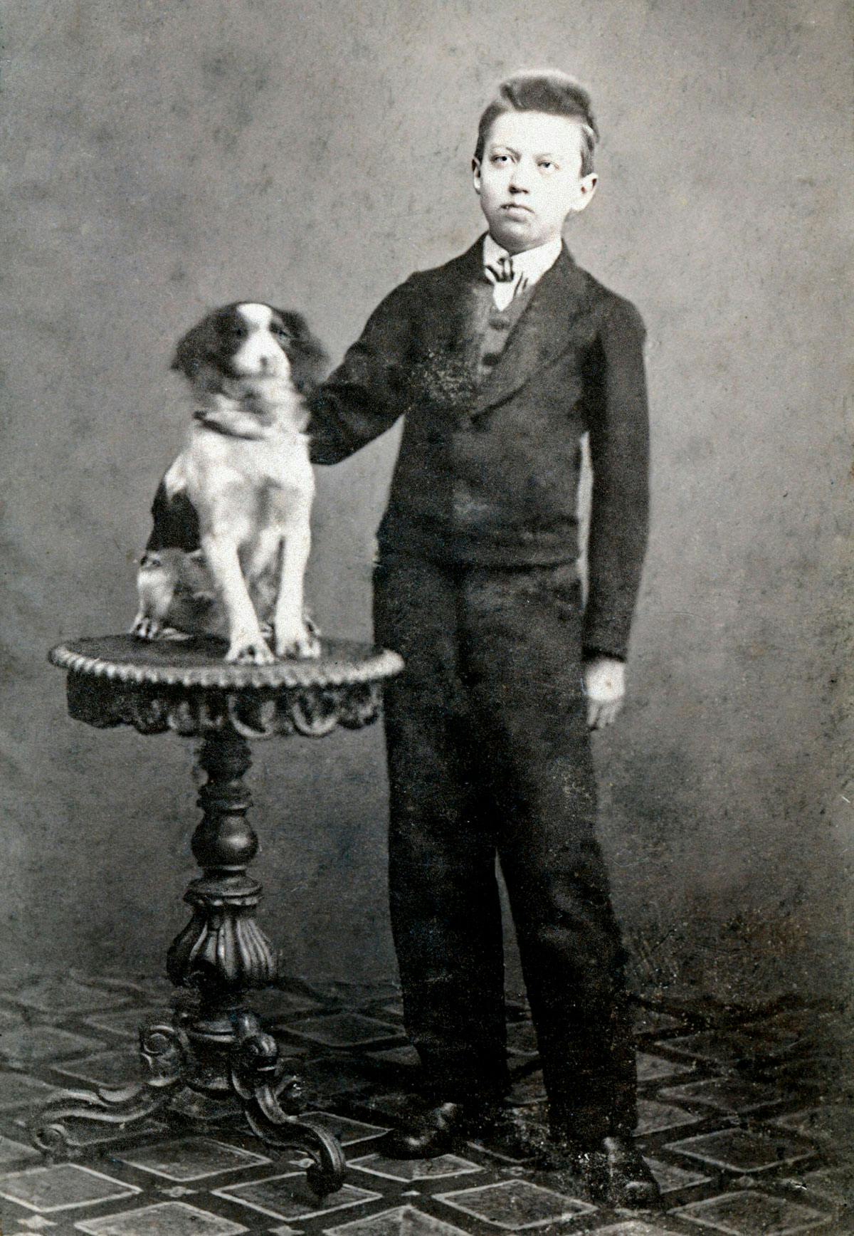 Axel Munthe | Historia