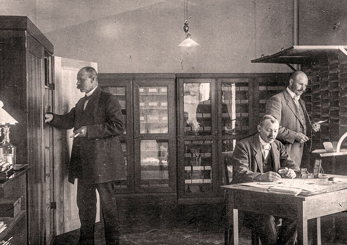 Stjarnefallet | Historisk polisutredning