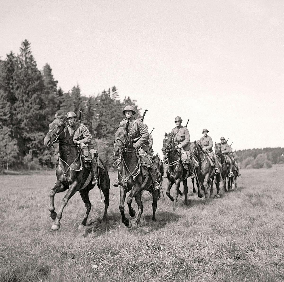 Kavalleriet | historia