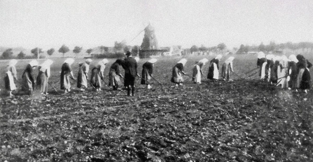 Utvandringen | Slakthistoria