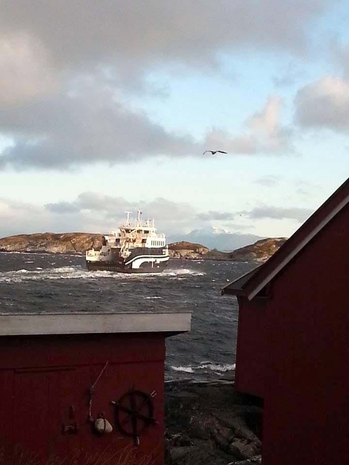 05e1cd8f 7845 4681 9424 3af4f18f6795 sefn