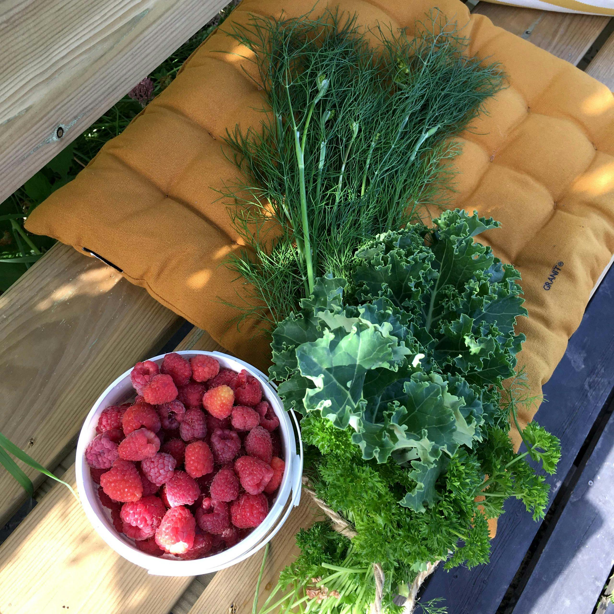 1973e8dd ee25 4748 91eb c303c51e6b75