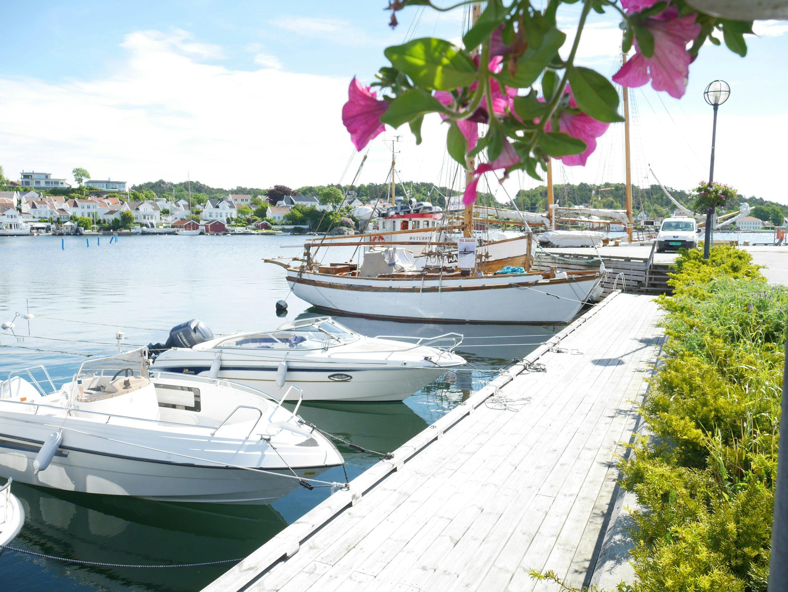 grimstad gjestehavn