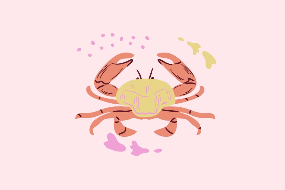 stjernetegnet krepsen som venn og forelder