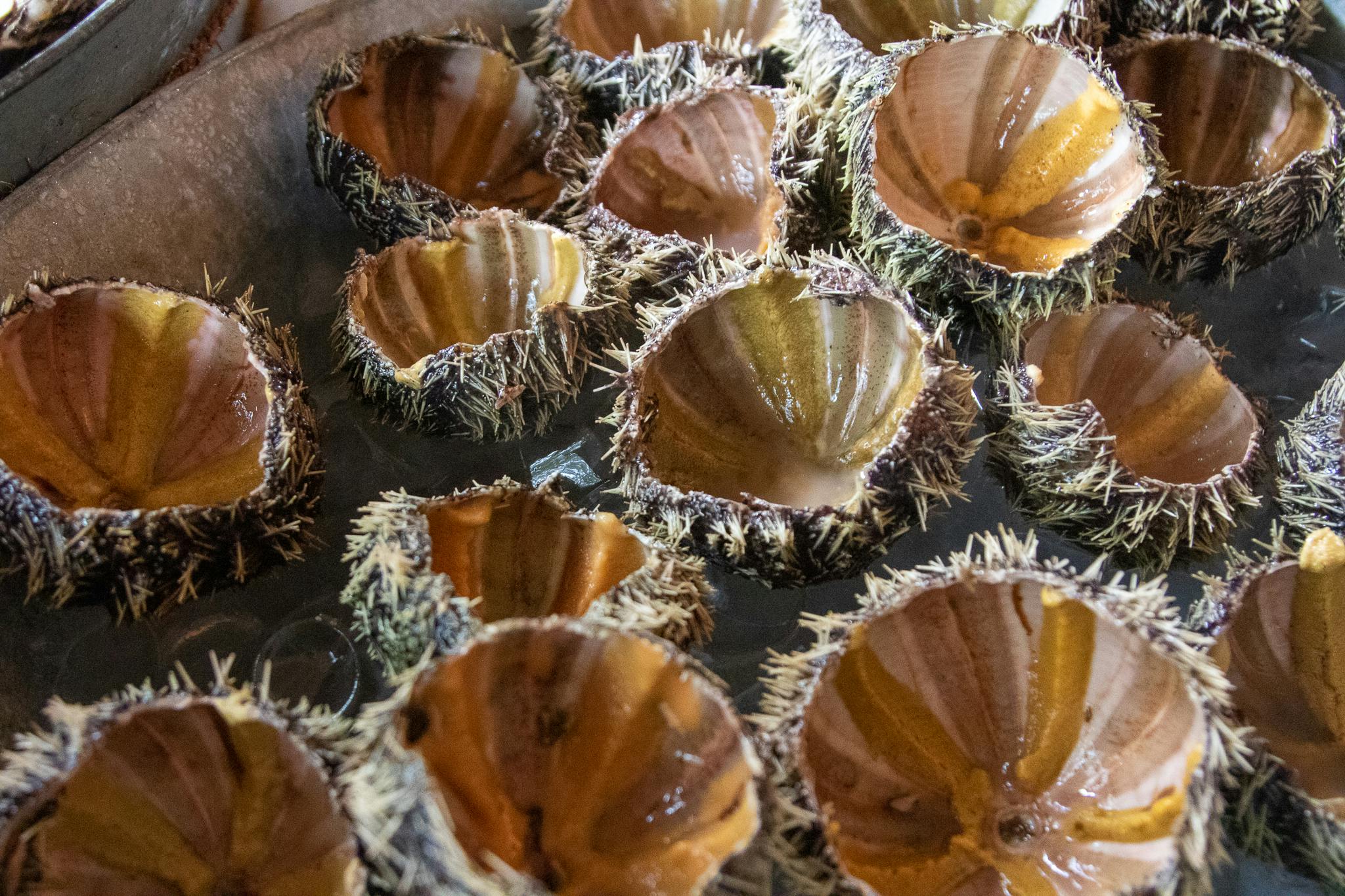 5e0a4663 Mauritius mat