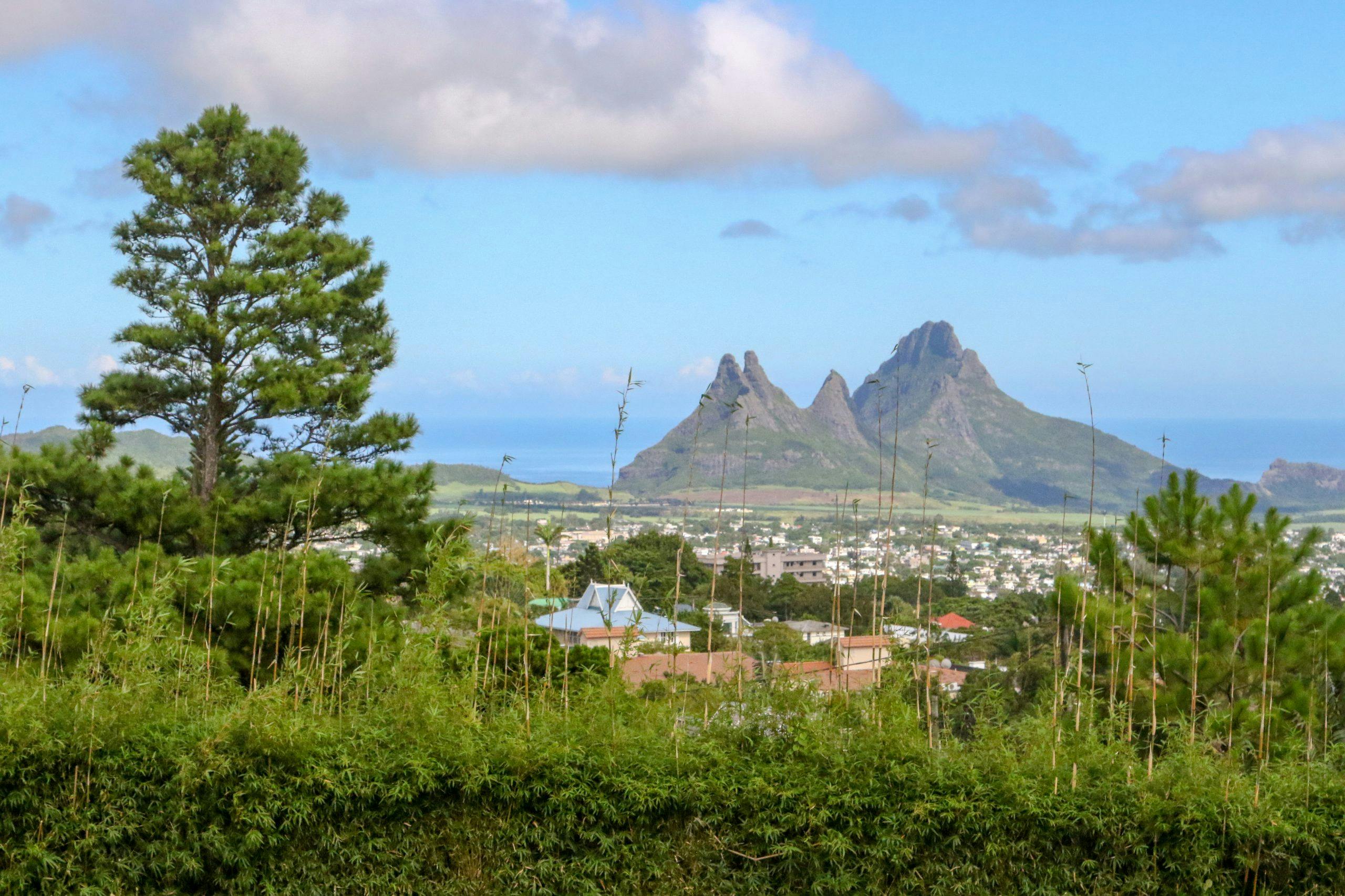 5e0a5578 mauritius fjell natur