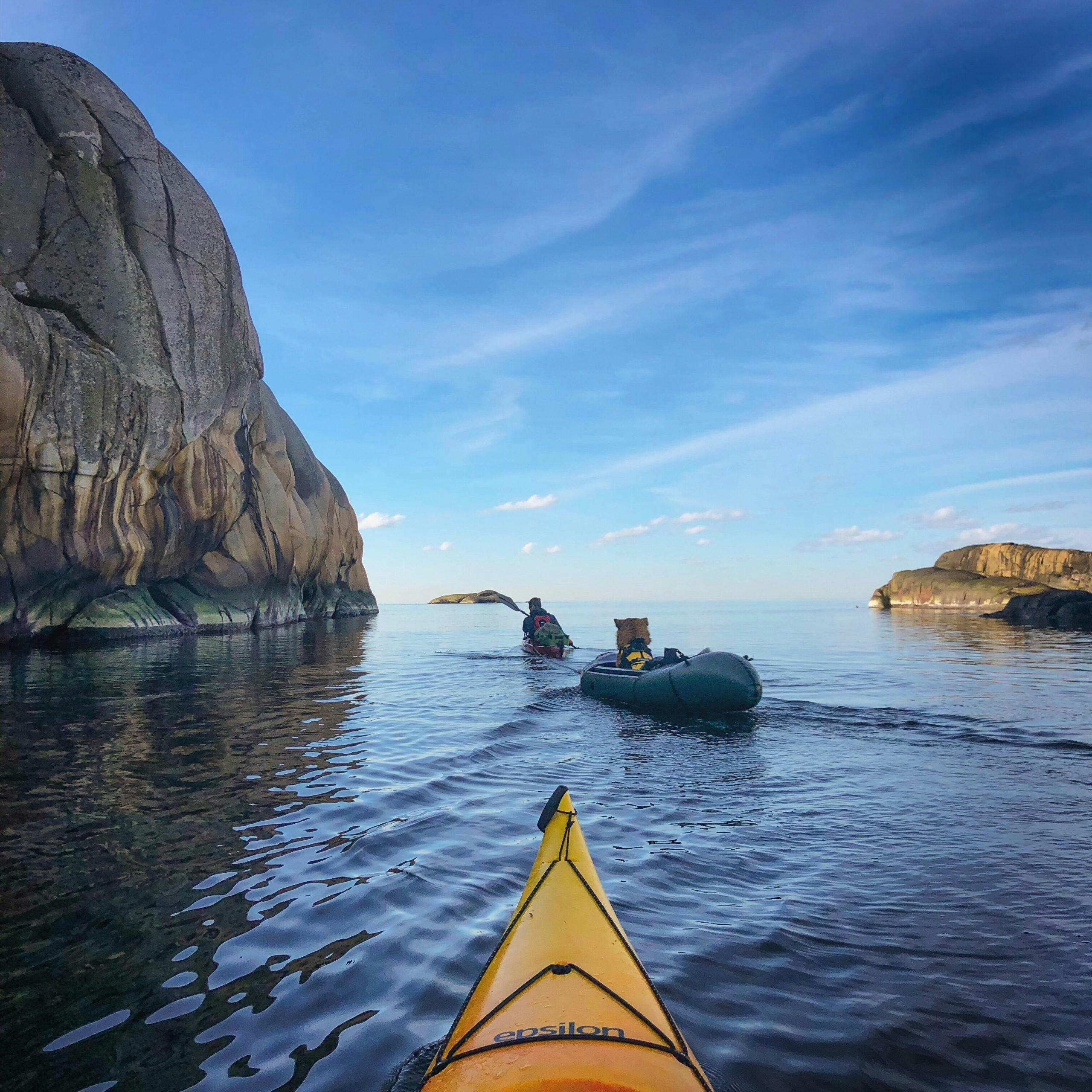 6e819365 2328 43fd a7cf 59e50659e25a