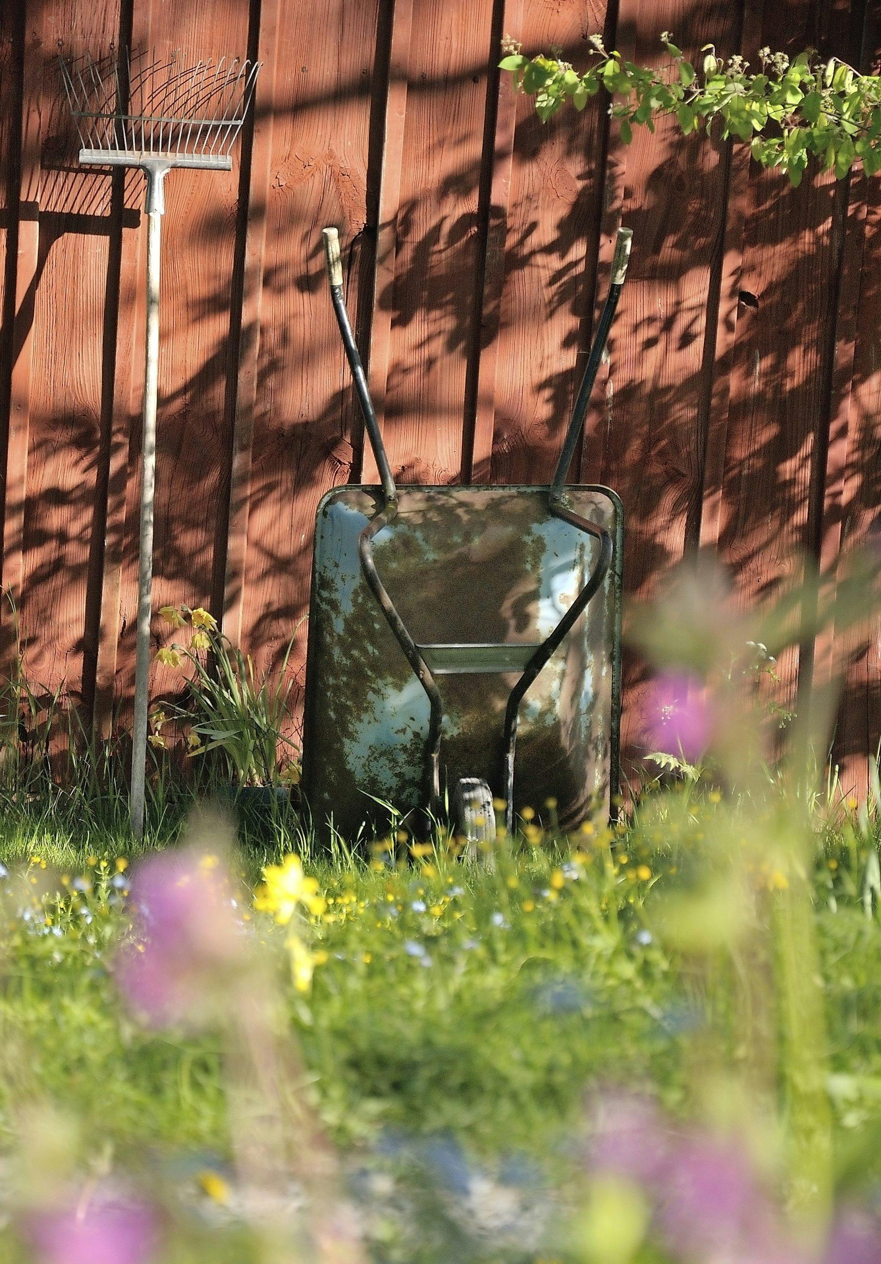 Nyt våren i hagen! hagetips til våren