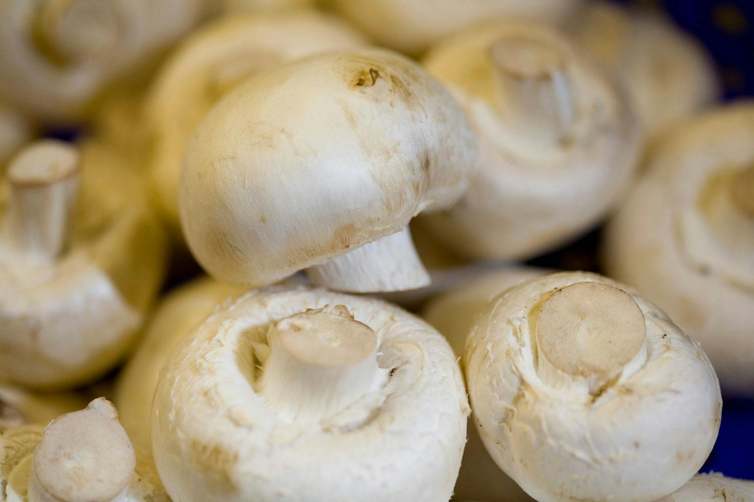 kosthold ved stoffskiftesykdom