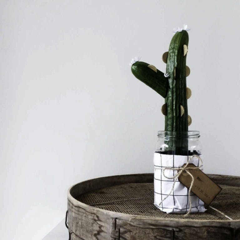 Pengekaktus Pengekaktus