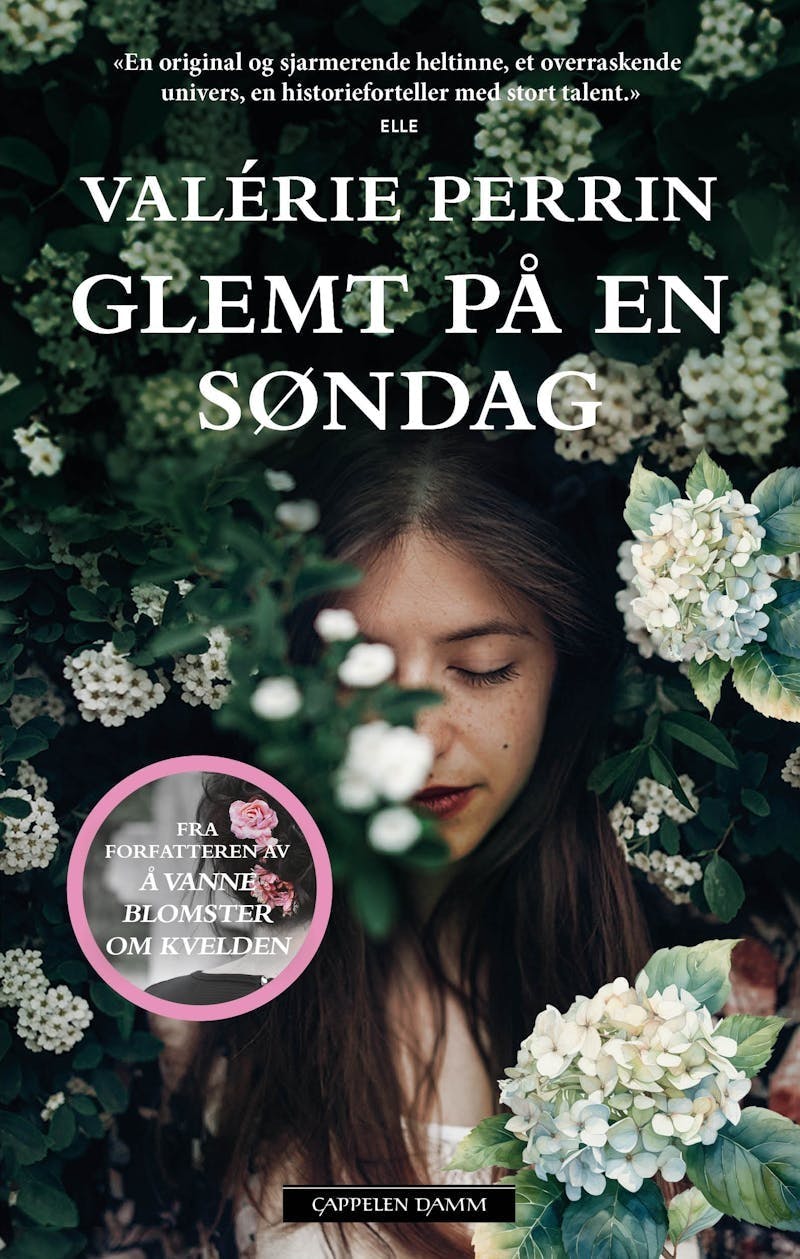 Valérie Perrin Glemt på en søndag
