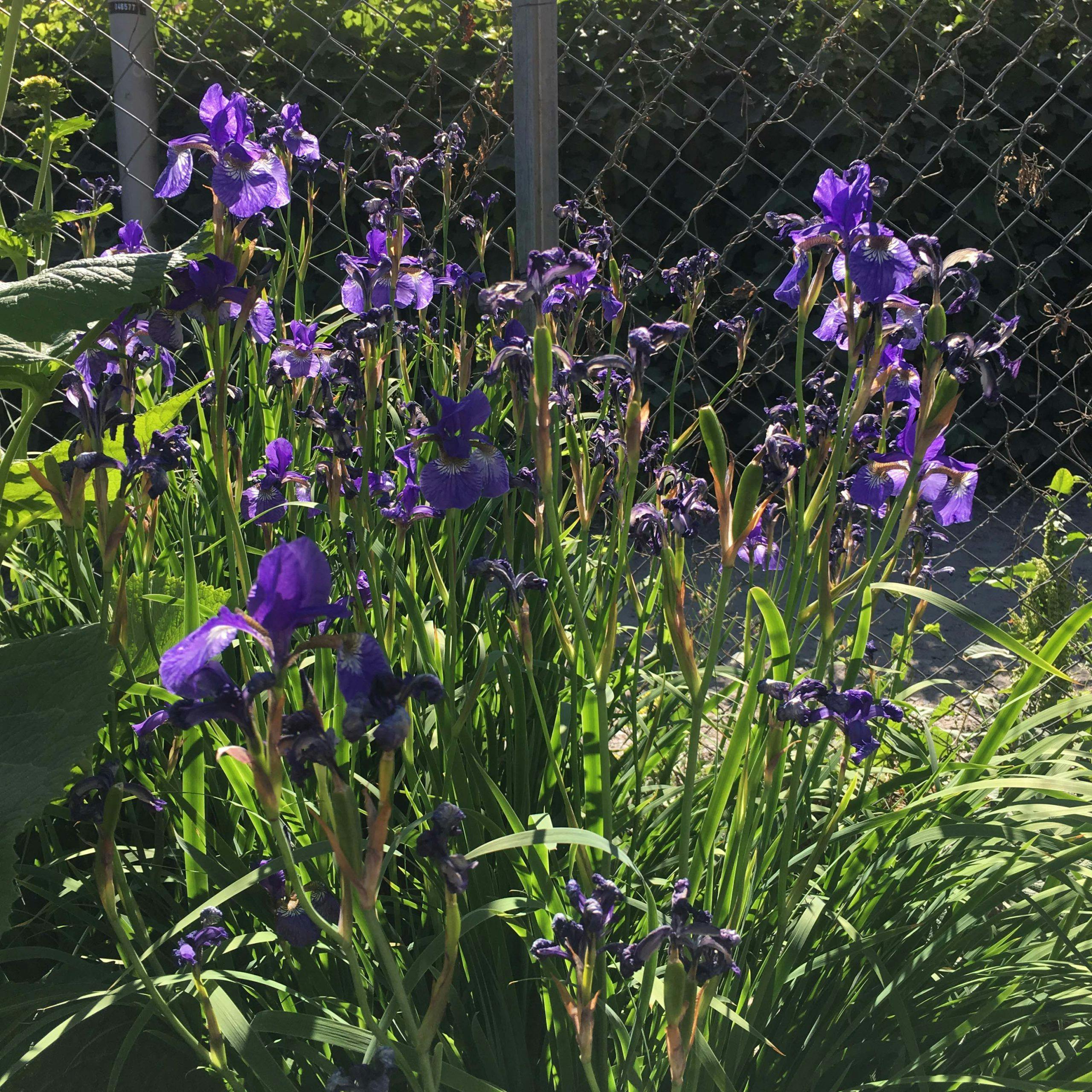 a37ac797 a51d 481a b430 bf465f4fbd21