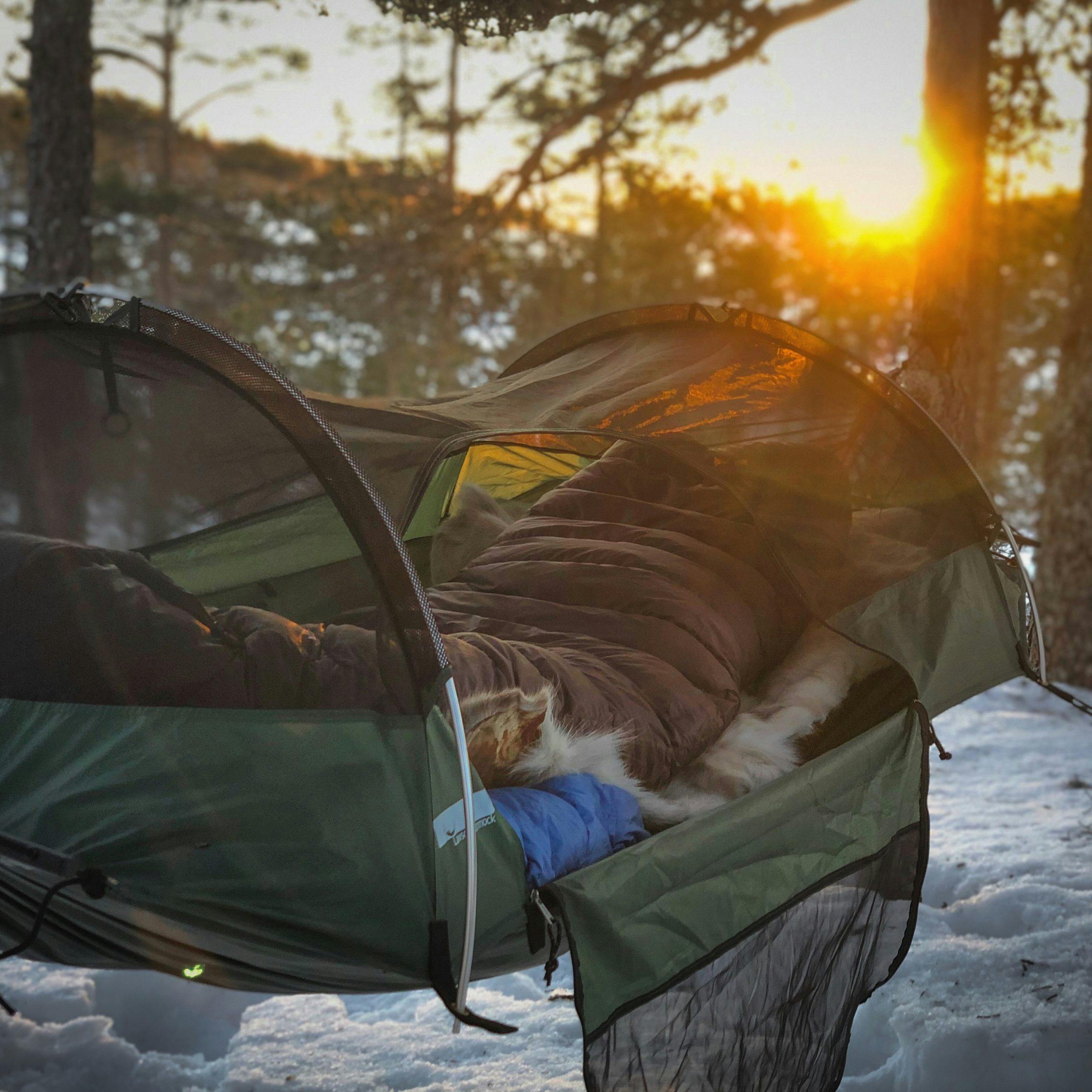 a59366c6 d30f 4313 a74b fff452ce21f2