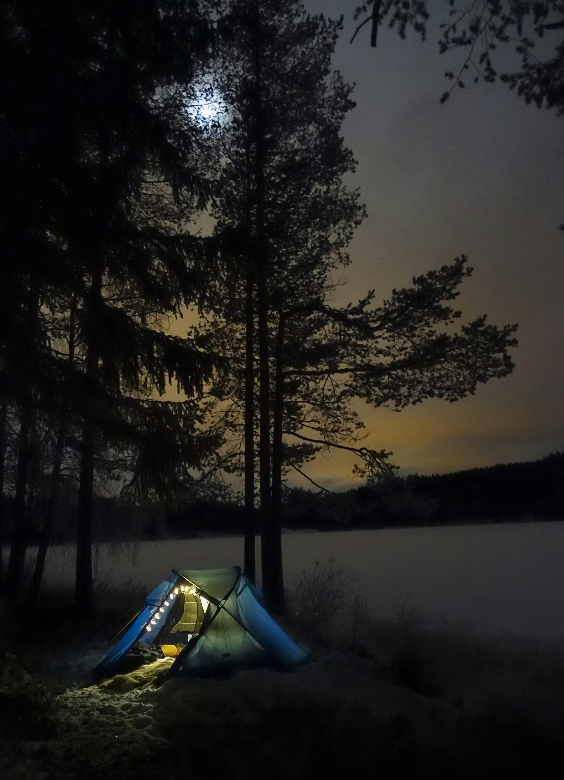 abisko telt med maneskinn