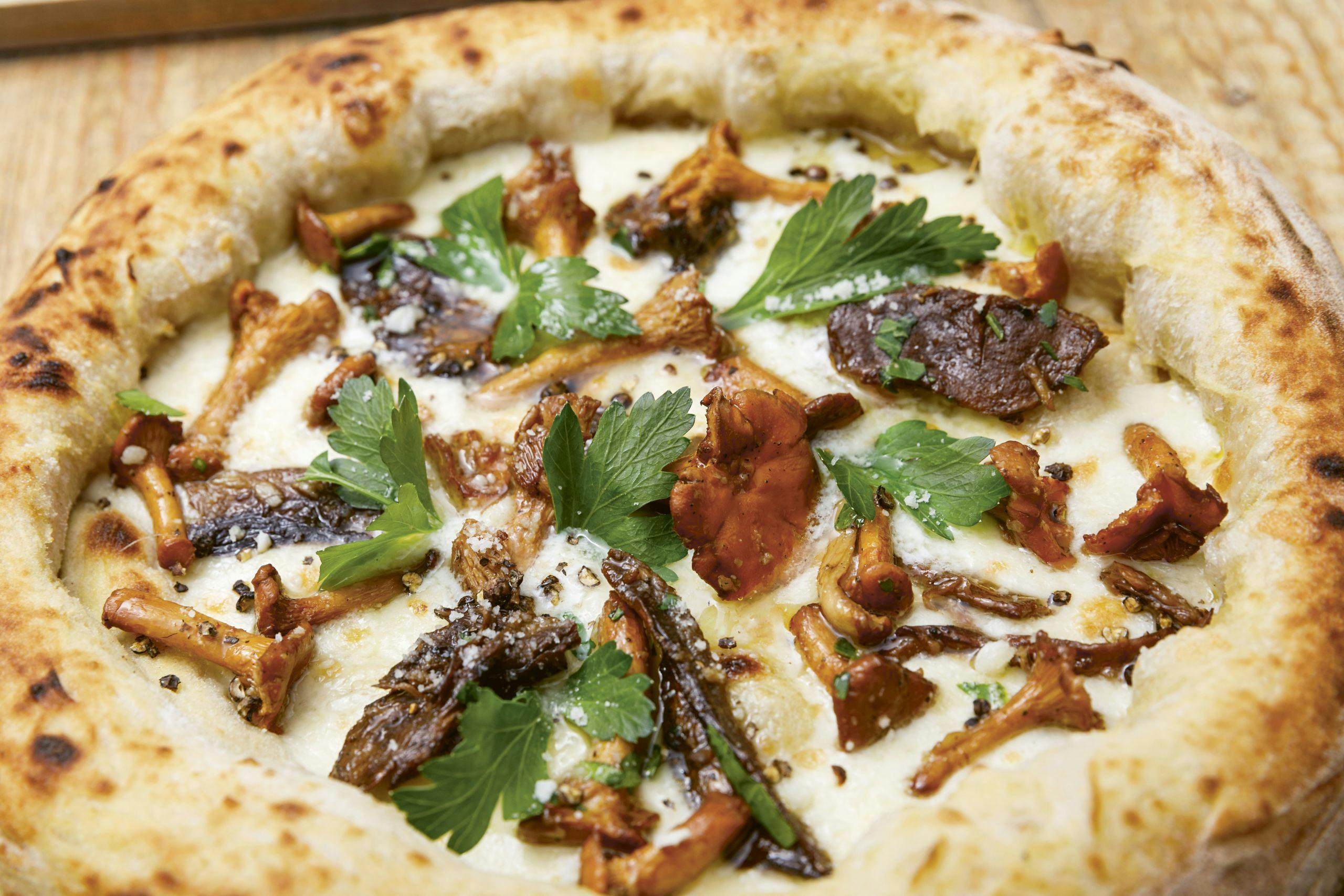 ai cantarelli side 77 foto ole walter jacobsen Pizza med kantareller