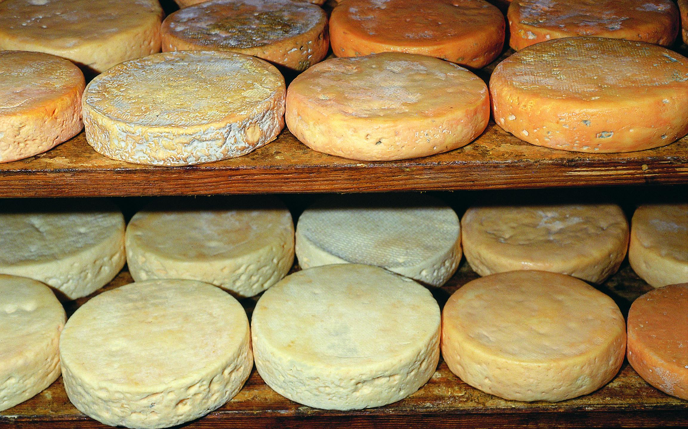 Alsace Munster Cheese, Frankrike, ost