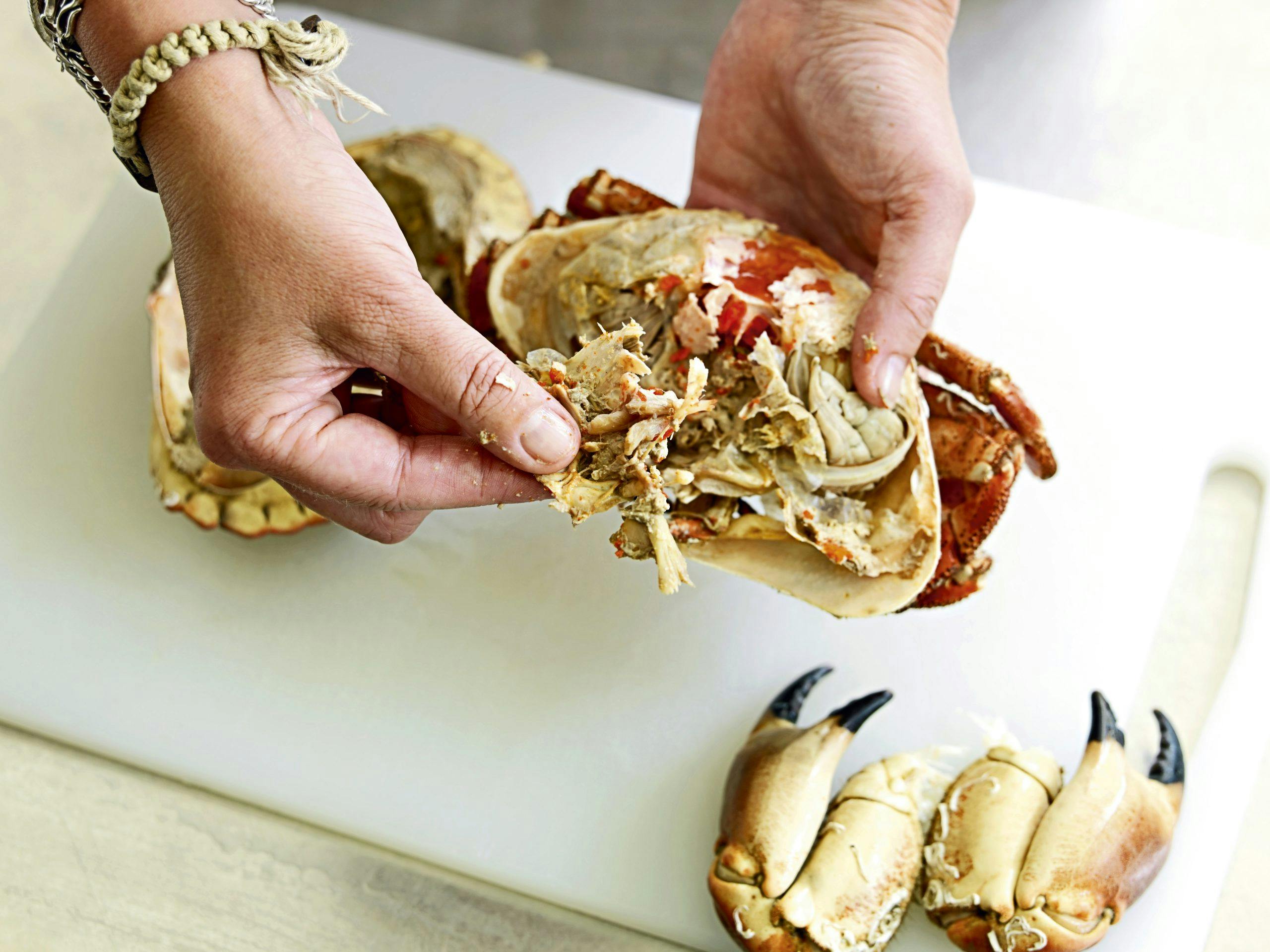 aom 20juli11 0026 Fjern paven når du renser krabbe