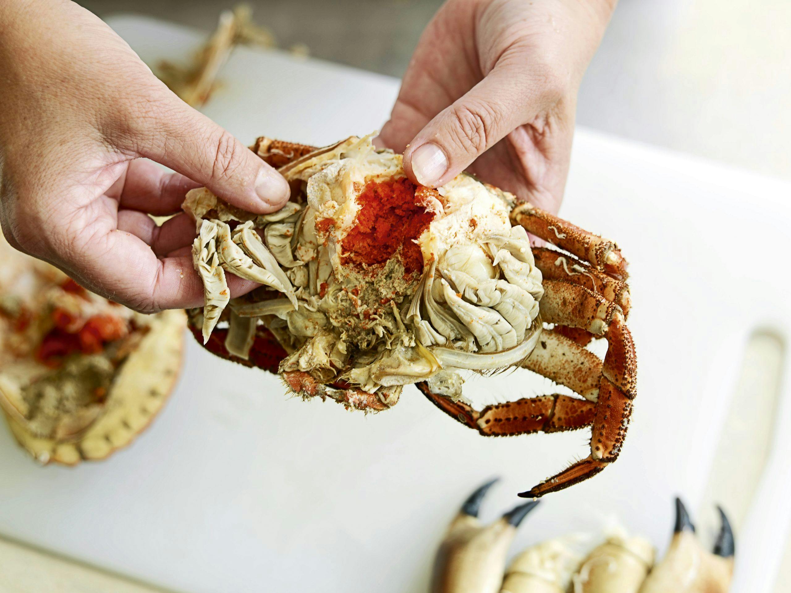 aom 20juli11 0028 Fjern gjellene når du renser krabbe