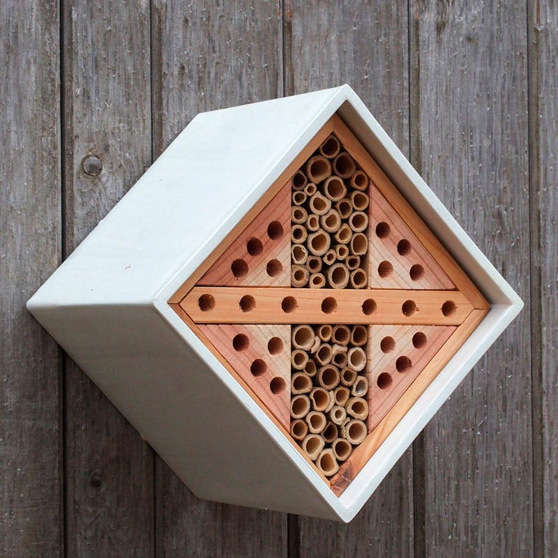 biehotell urbsb 800x800