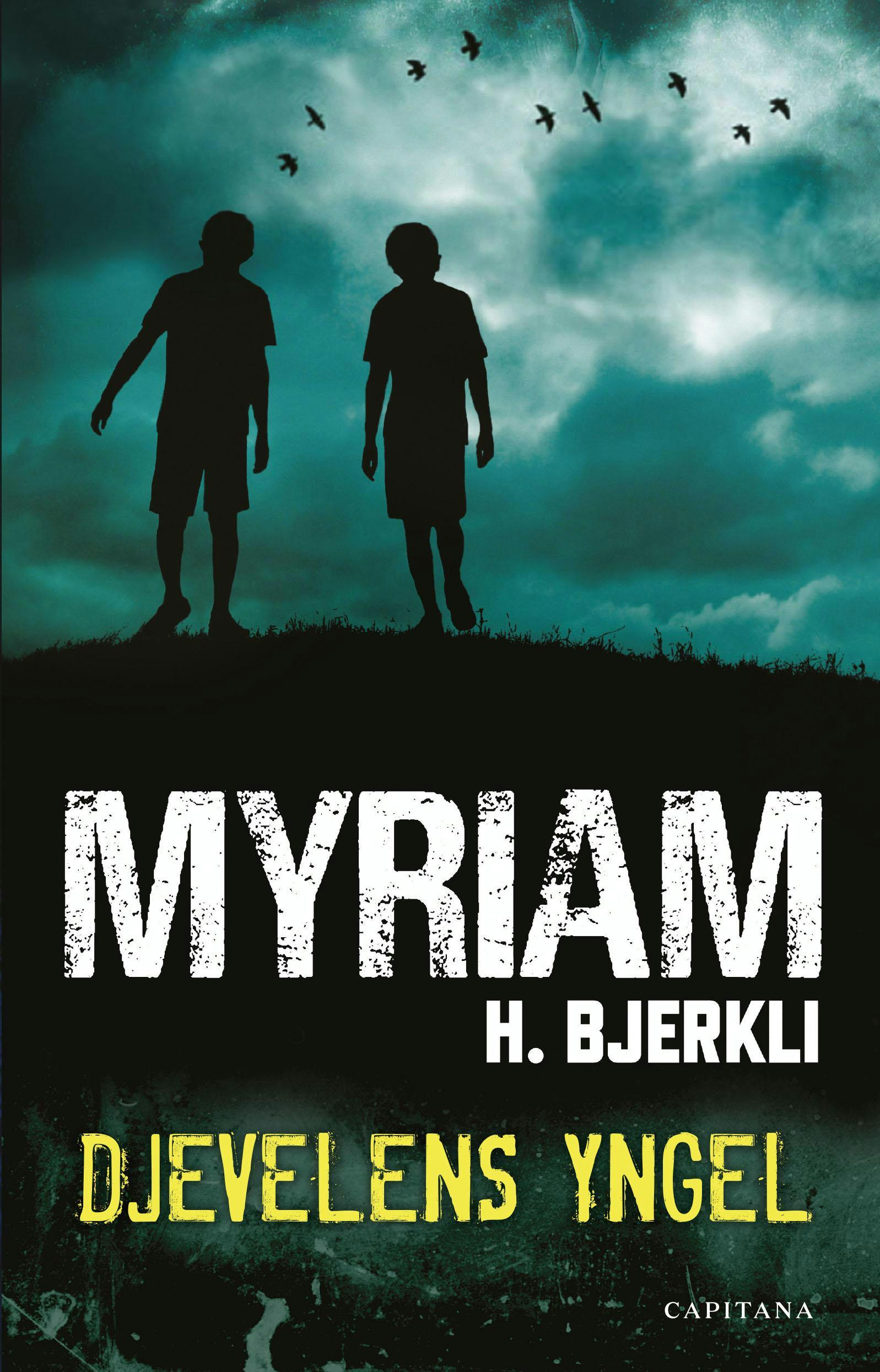 bokcover Djevelens Engel av Myriam Bjerkli