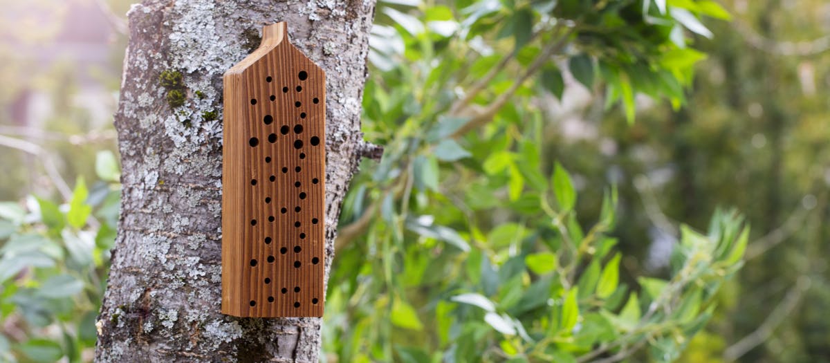 ce21c6dd 5d59 432c 9492 56511fe747bd