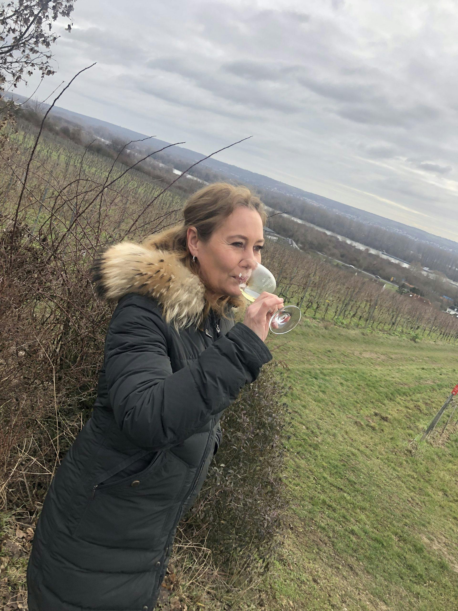 Piemontoe, Italia, reise, vinranker