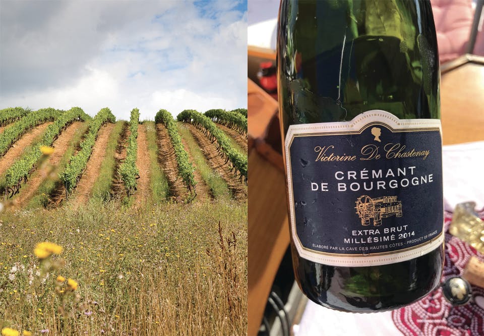 Vinmark i Bourgogne Crémant musserende vin 731401 Caves Hautes Côtes Crémant de Bourgogne Brut 2014
