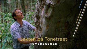 cwcvieaucmy5uxfwn9etnwh qw viryky7plimpsr9pw beste dokumentarer NRK