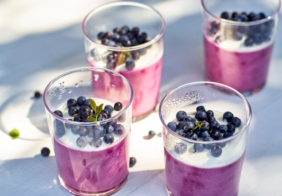 blåbær panna cotta