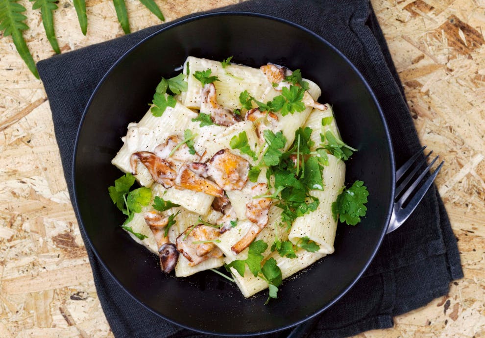 pasta med kantarell og geitost