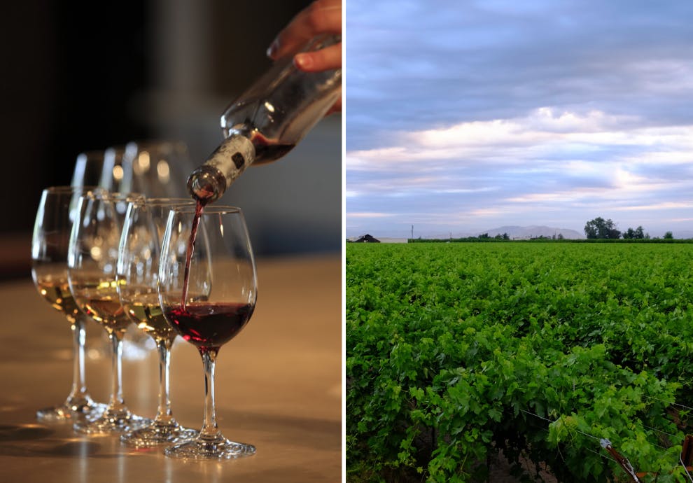 vin i flere mengder