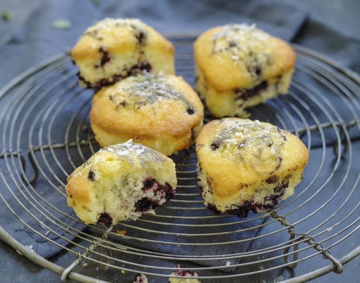 Muffins, blåbær