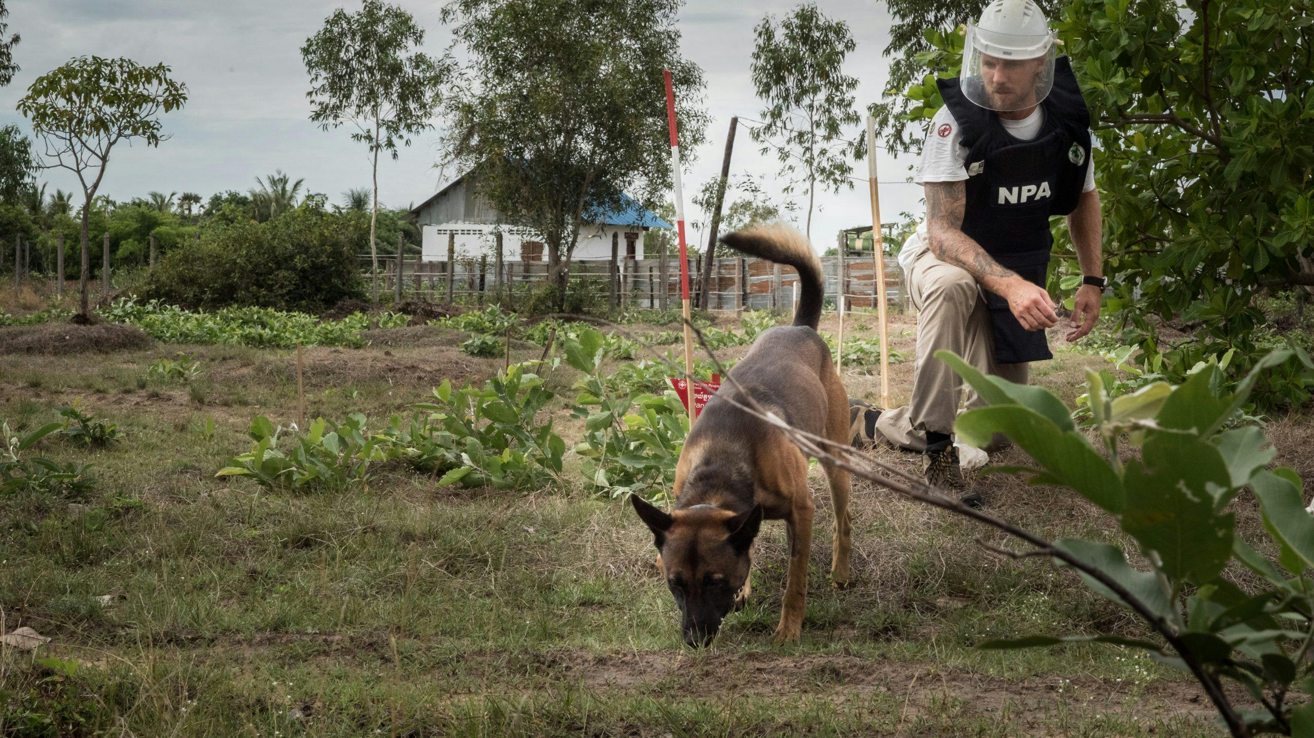 På jobb: Årets modigste kvinne 2016: Charlotte Søyland