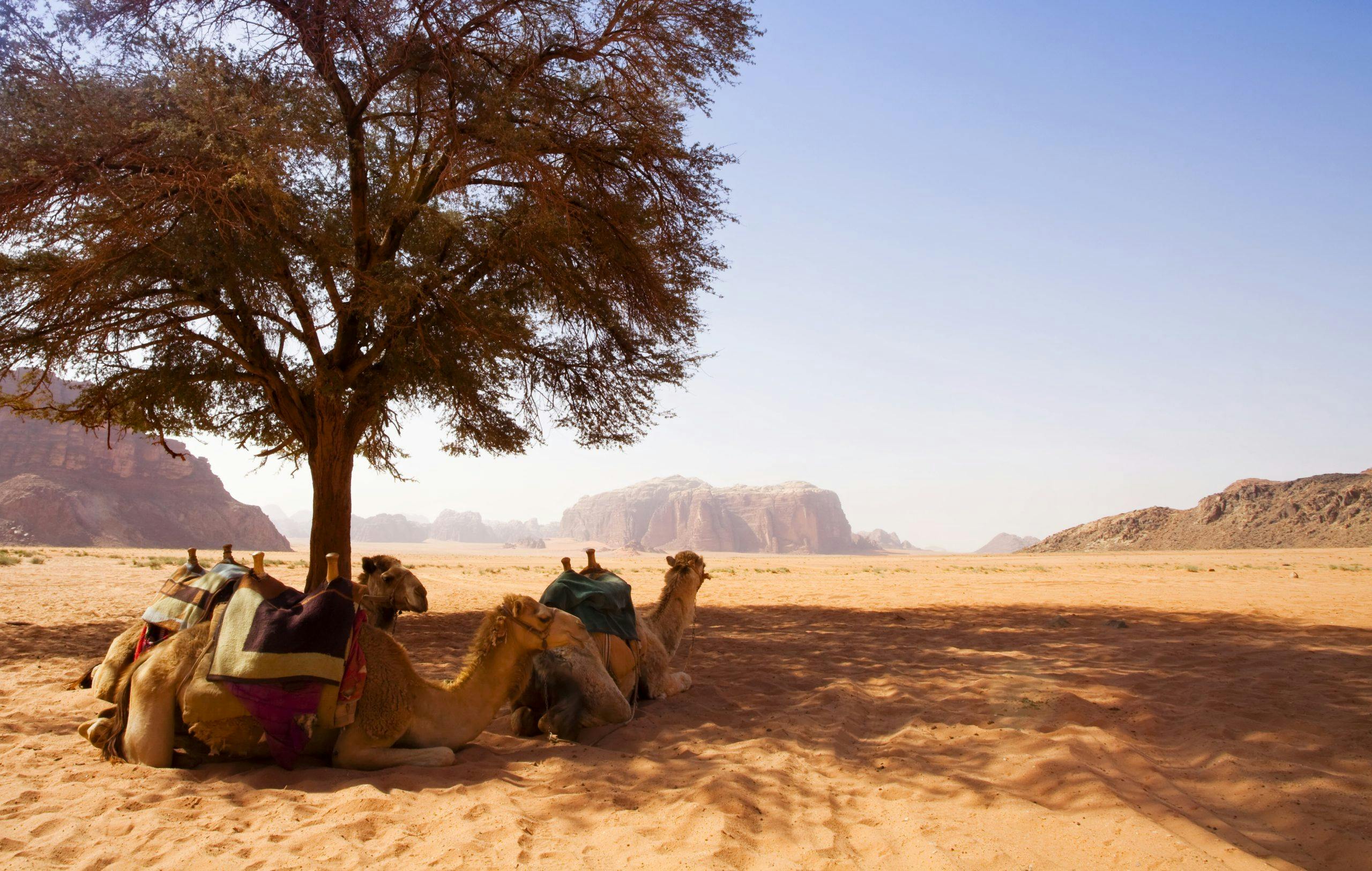 gettyimages 104652204 NeGvyE2U Wadi Rum