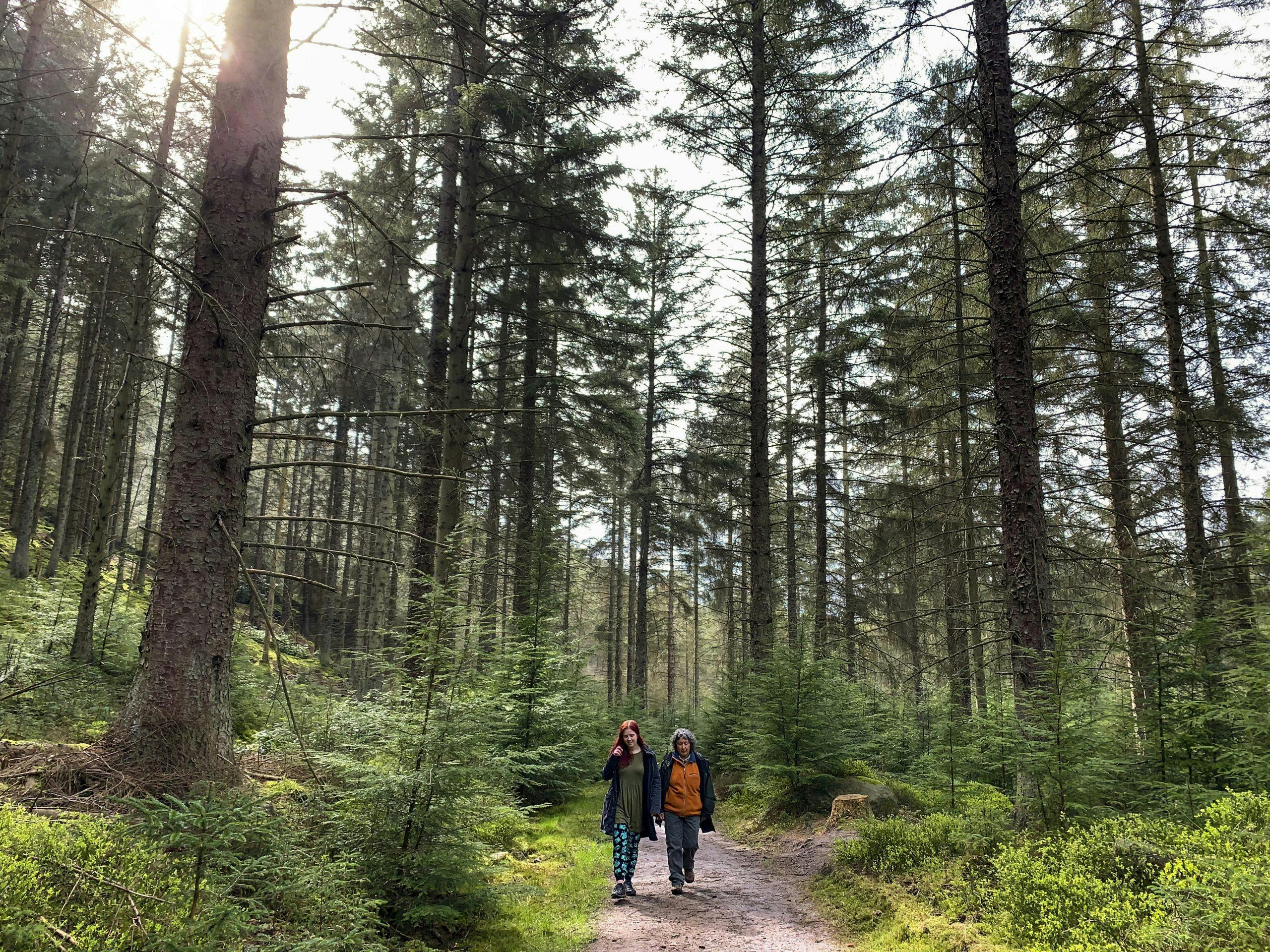 gettyimages 1392287979 17 mai feiring