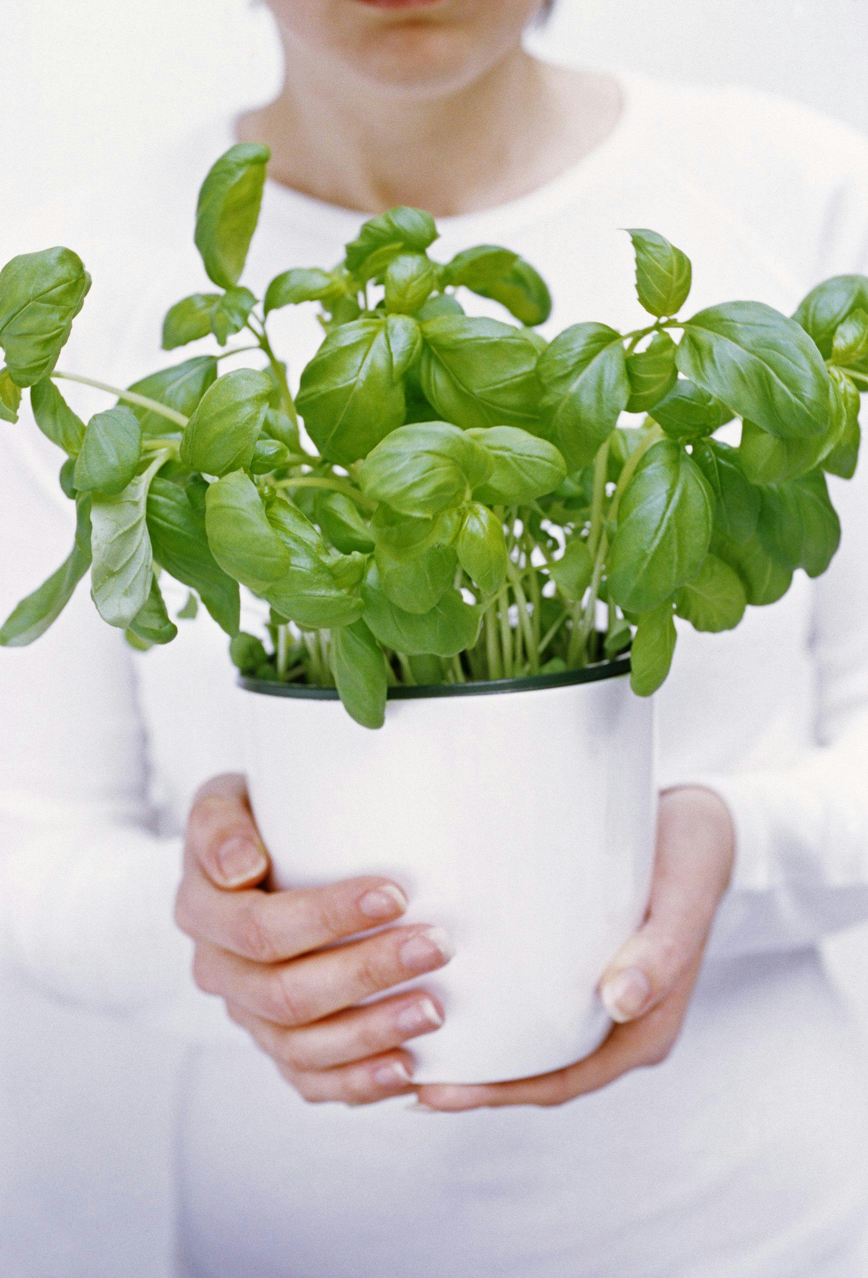 gettyimages 165783337