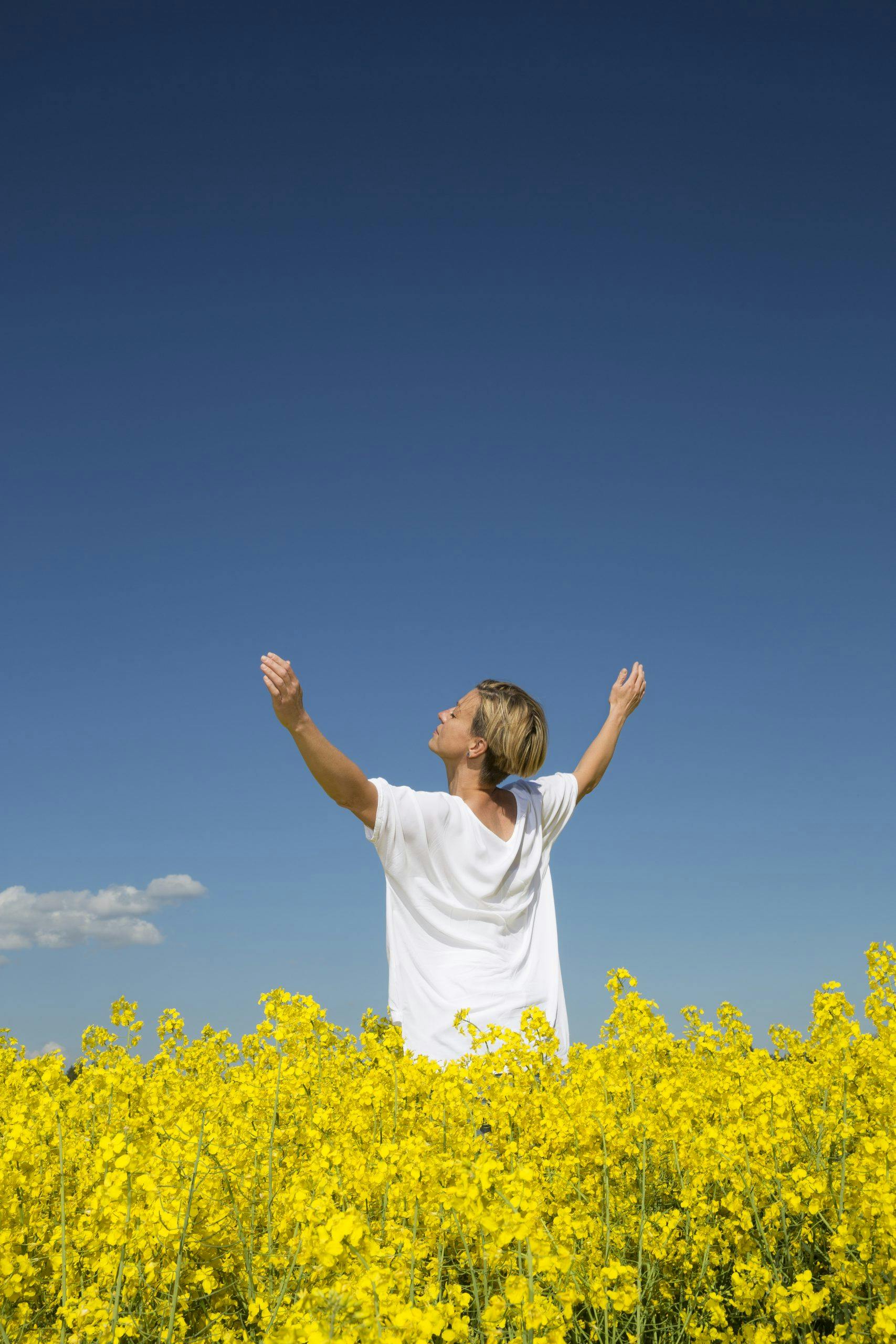 Natur, frihet, energi