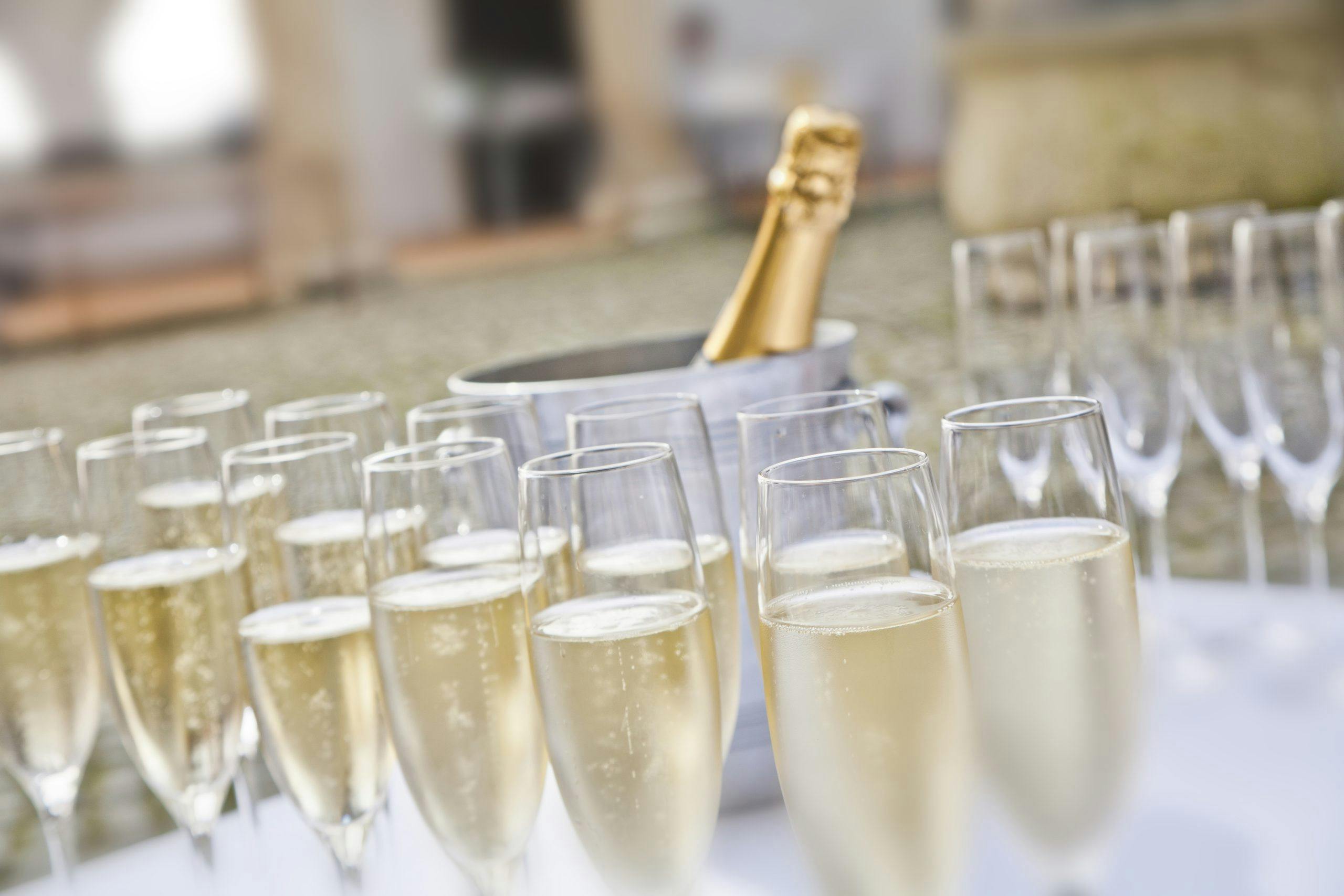 Champagne, bobler, vinguide