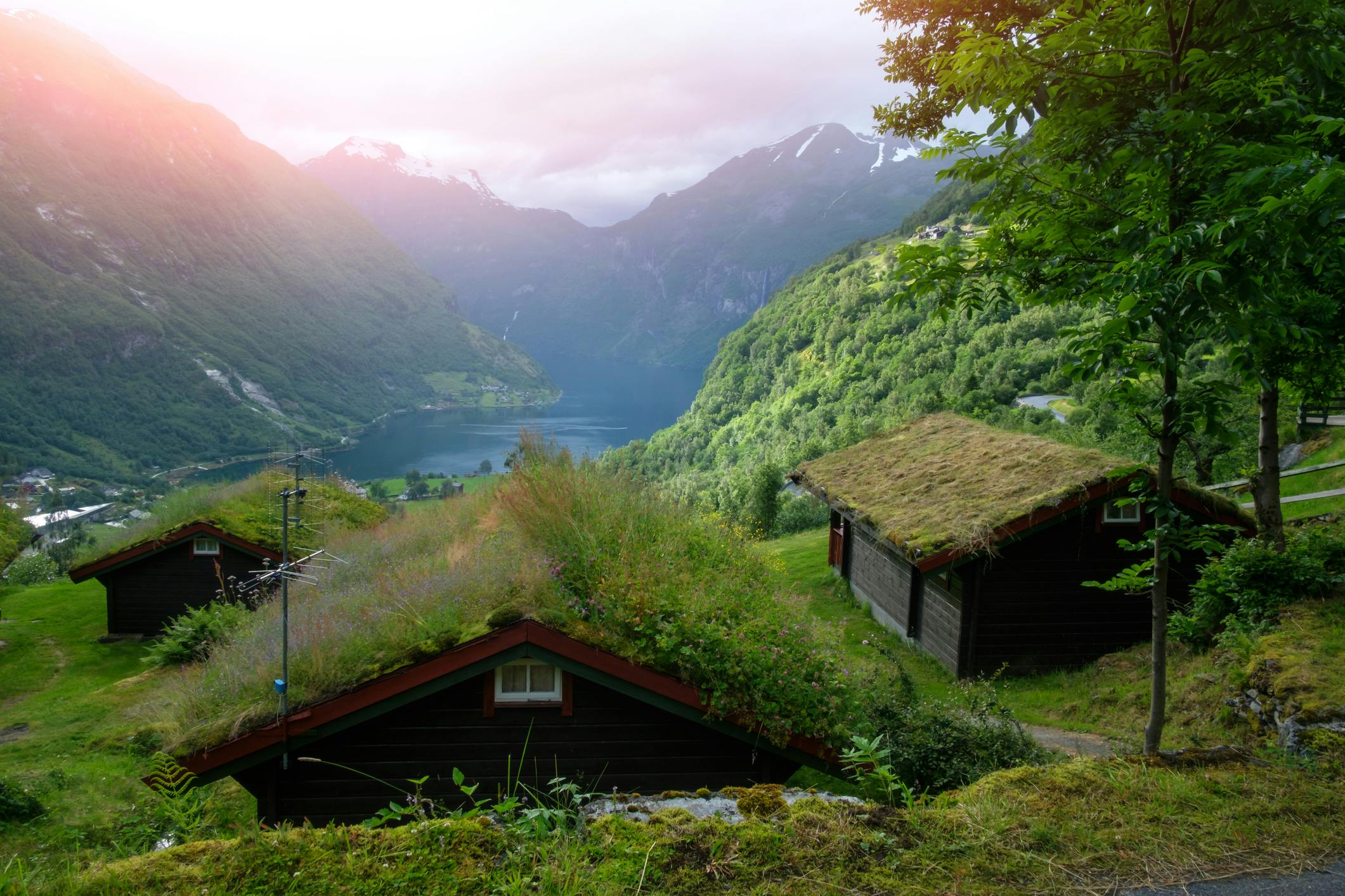 Hyttetun med gress på taket og med utsikt over fjorden