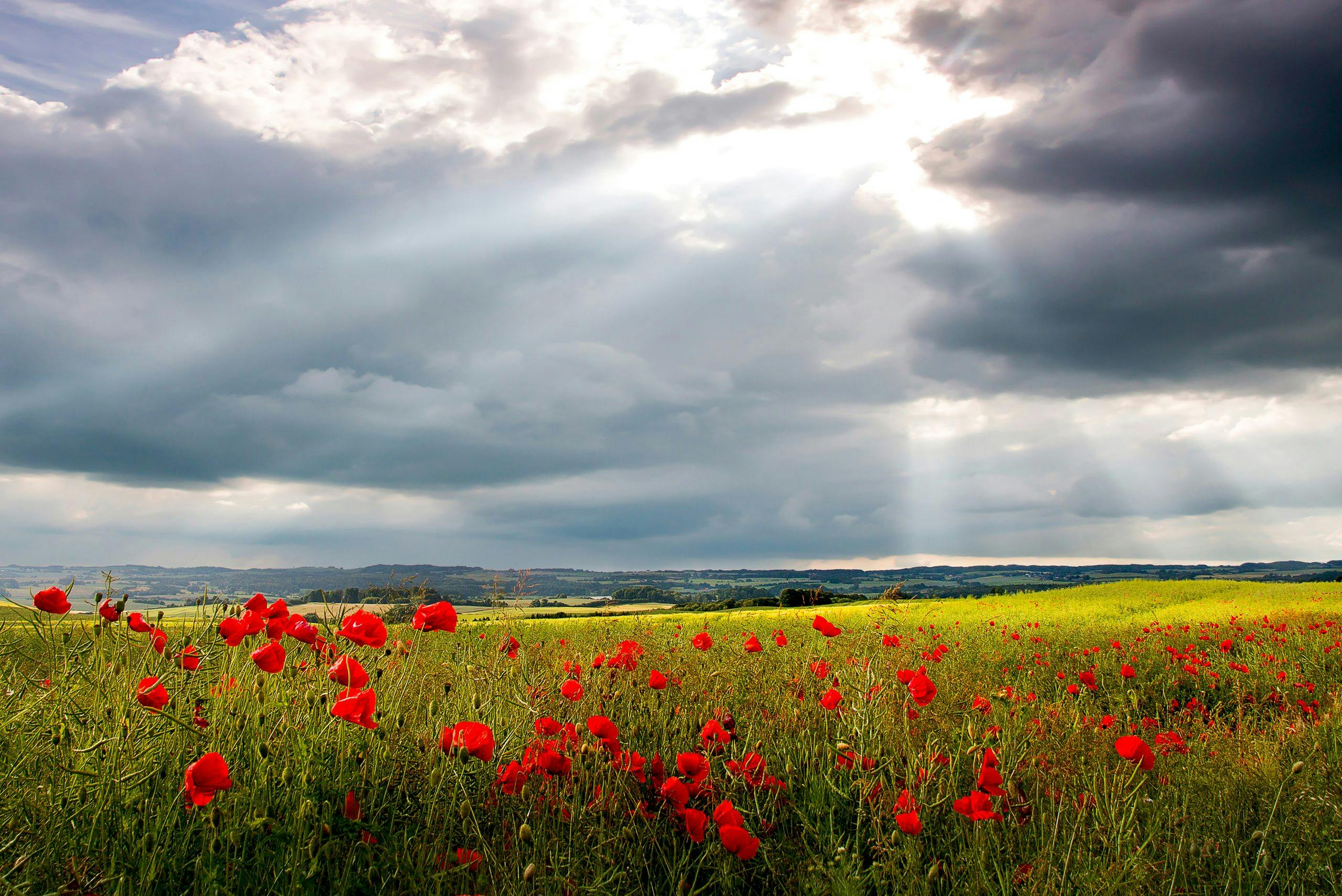 gettyimages 874423734