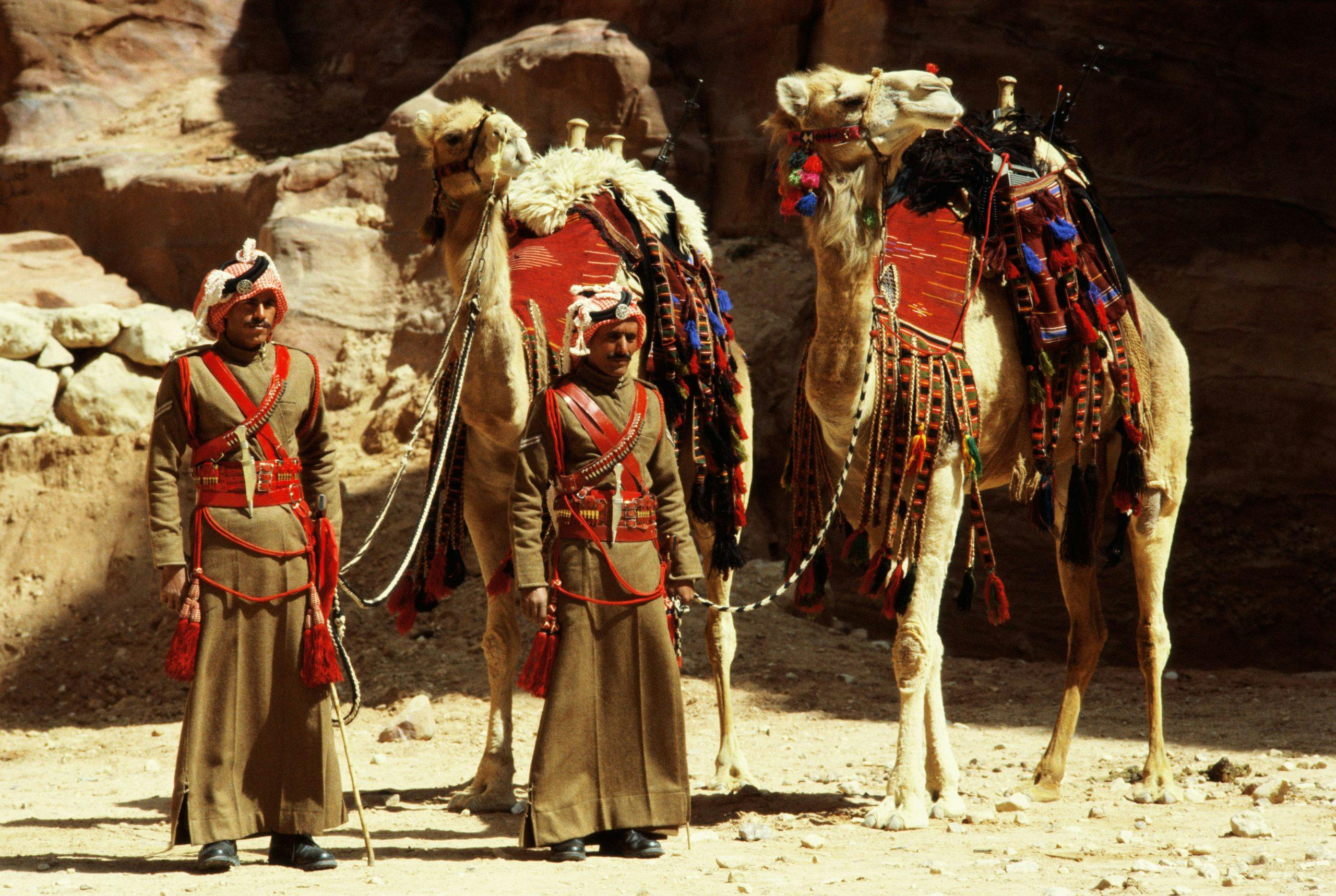 Kamelridning Kameler ved Petra