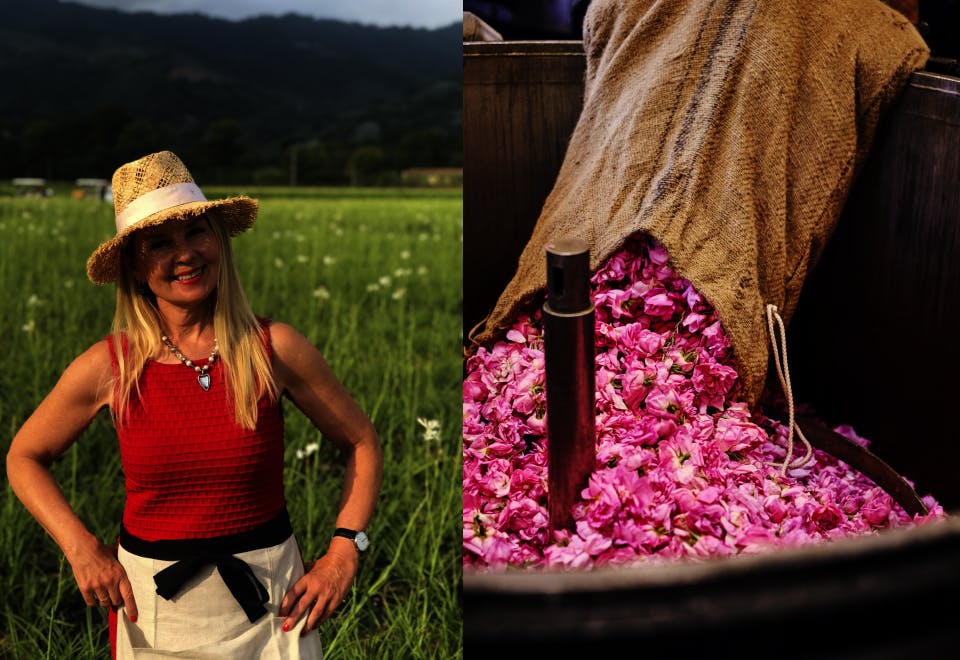 gunnhild grasse d Gunnhild Bjørnsti Tara Vinspaltist Grasse Frankrike