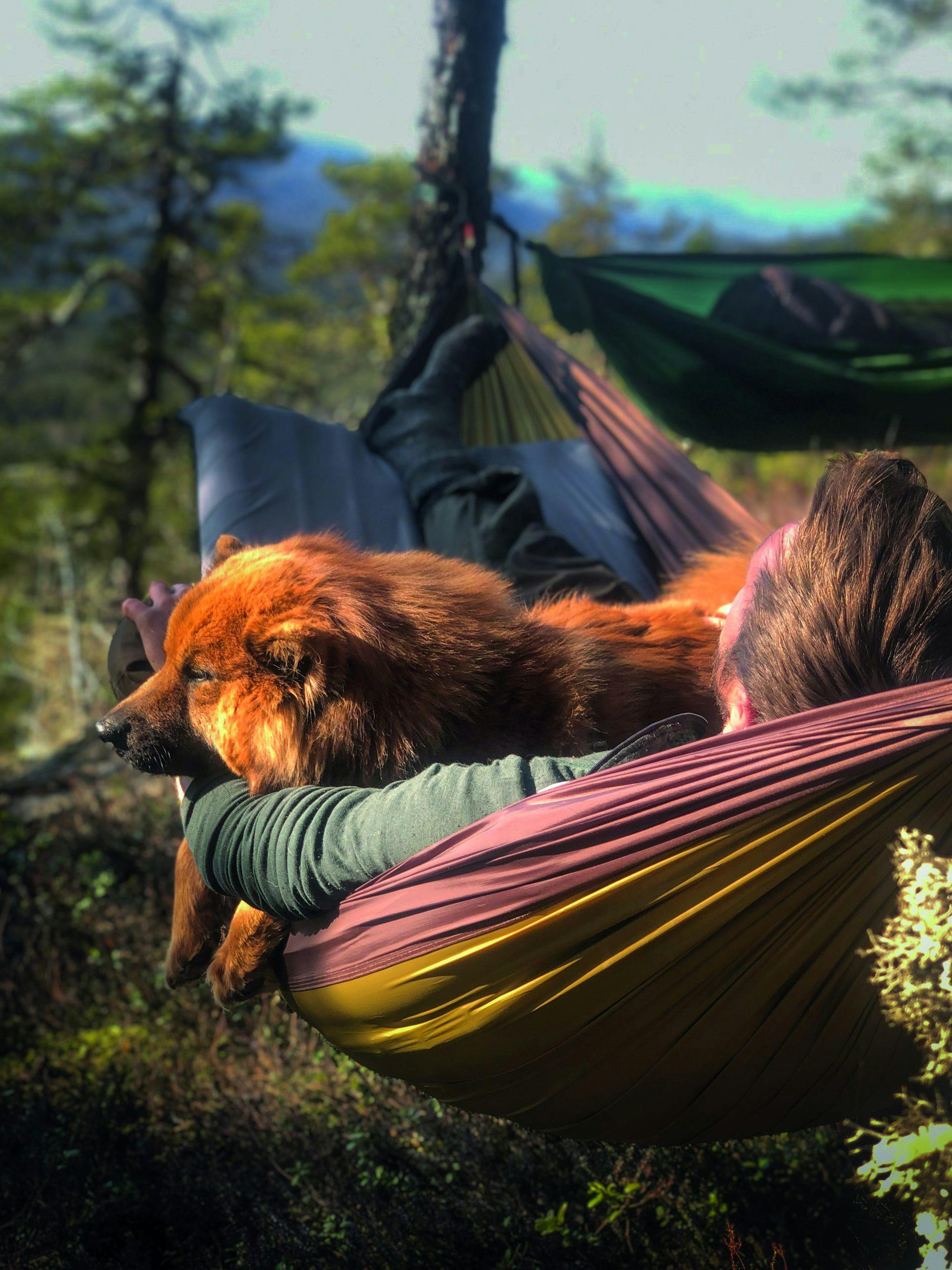 Hengekøye overnatting utenfor