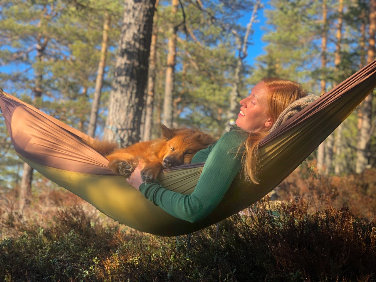 hengekoye oppi asen 26