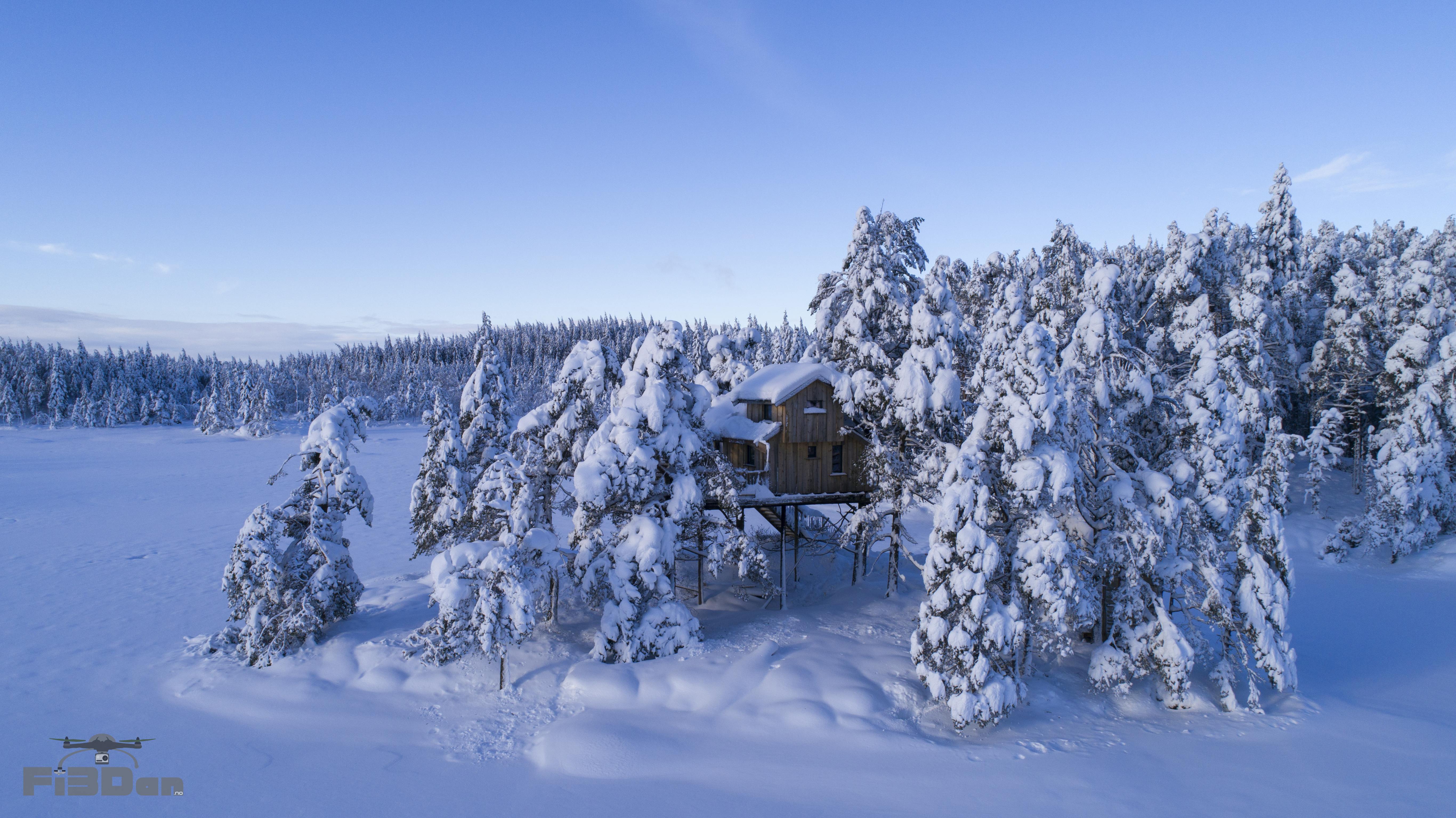 Eventyrhytte i tretoppen