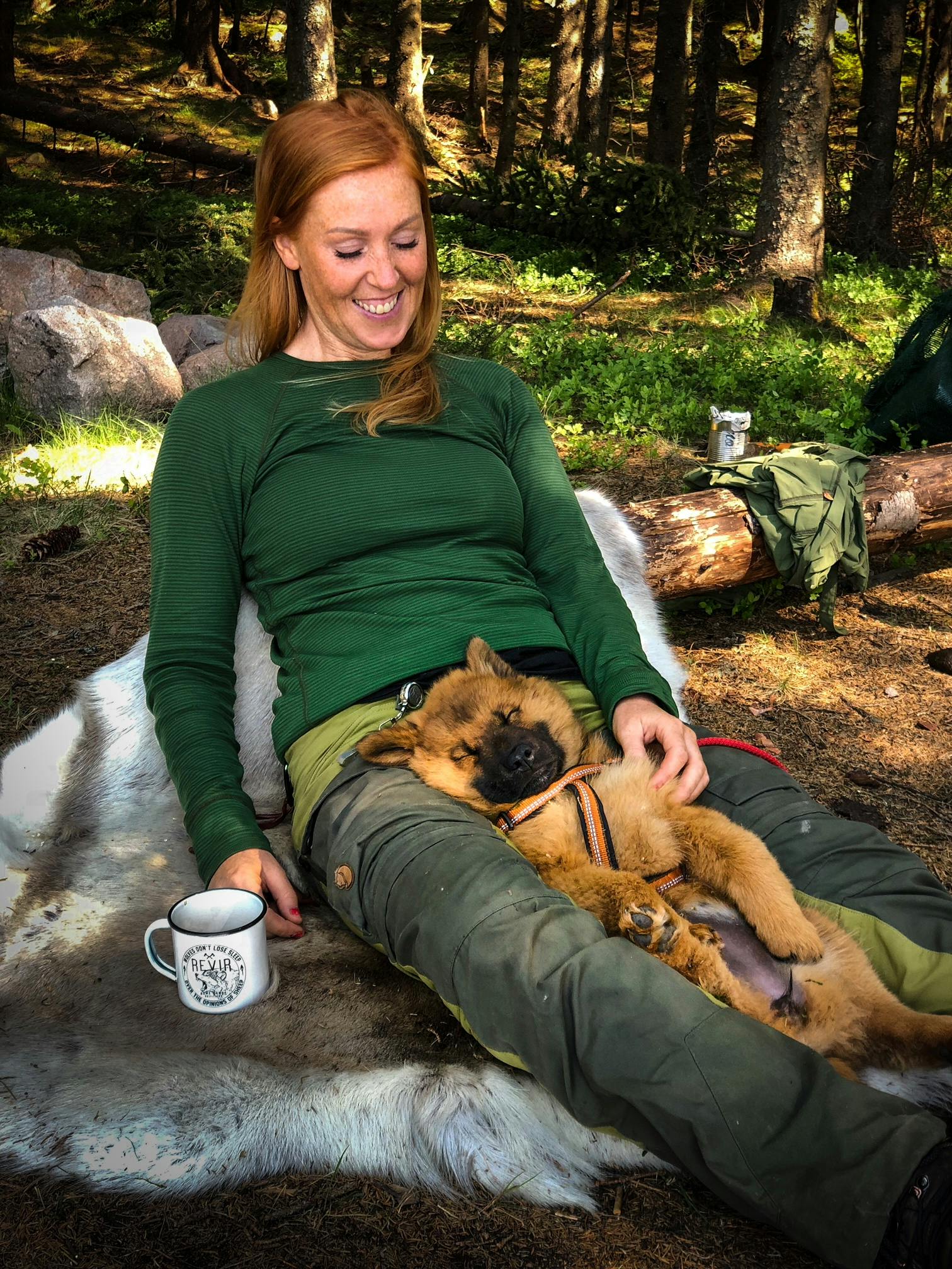 Tidlig krøkes: valp eurasier
