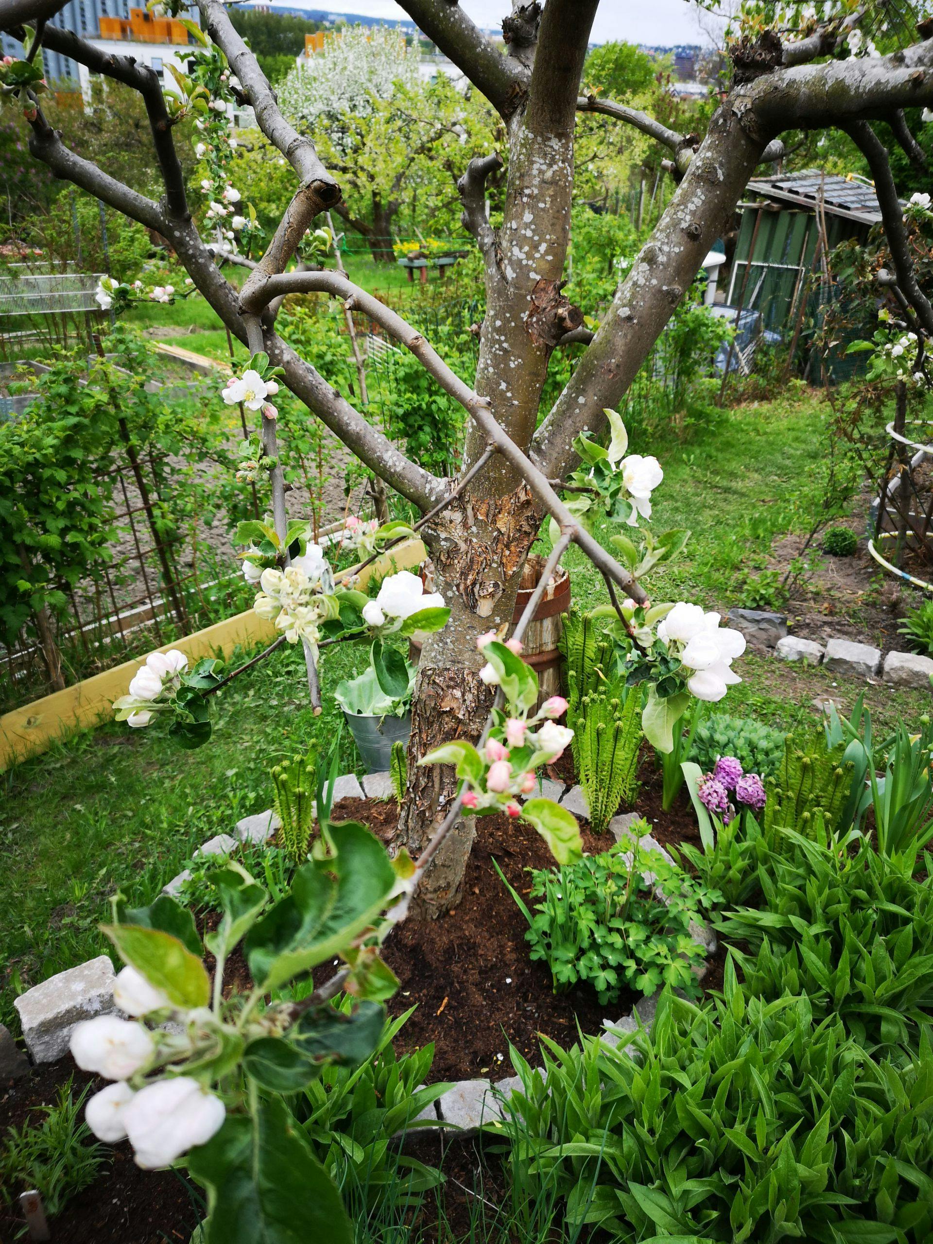 img 20190506 170931 xbVcRR2OVh9DuHM