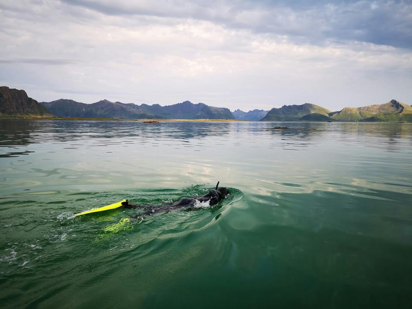 img 20190725 200949 WdQheDA SVCMvbt Tanja Solberg svømmer rundt Lofoten