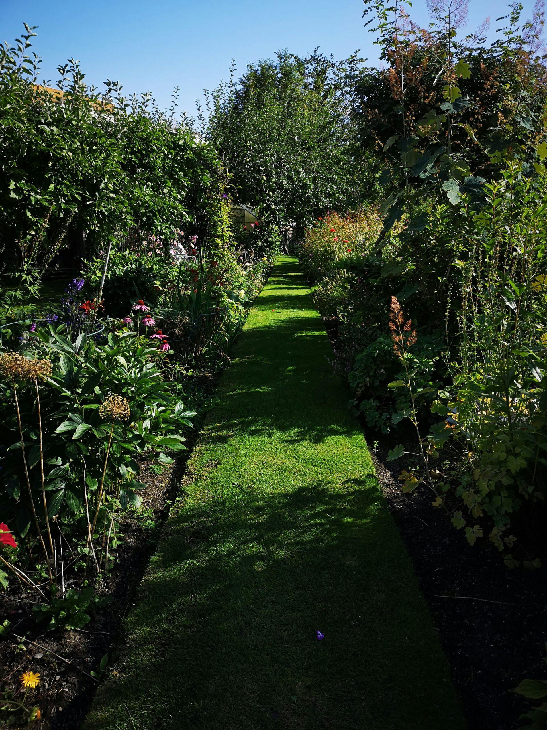 img 20190814 161344 rZHMhYMFJ