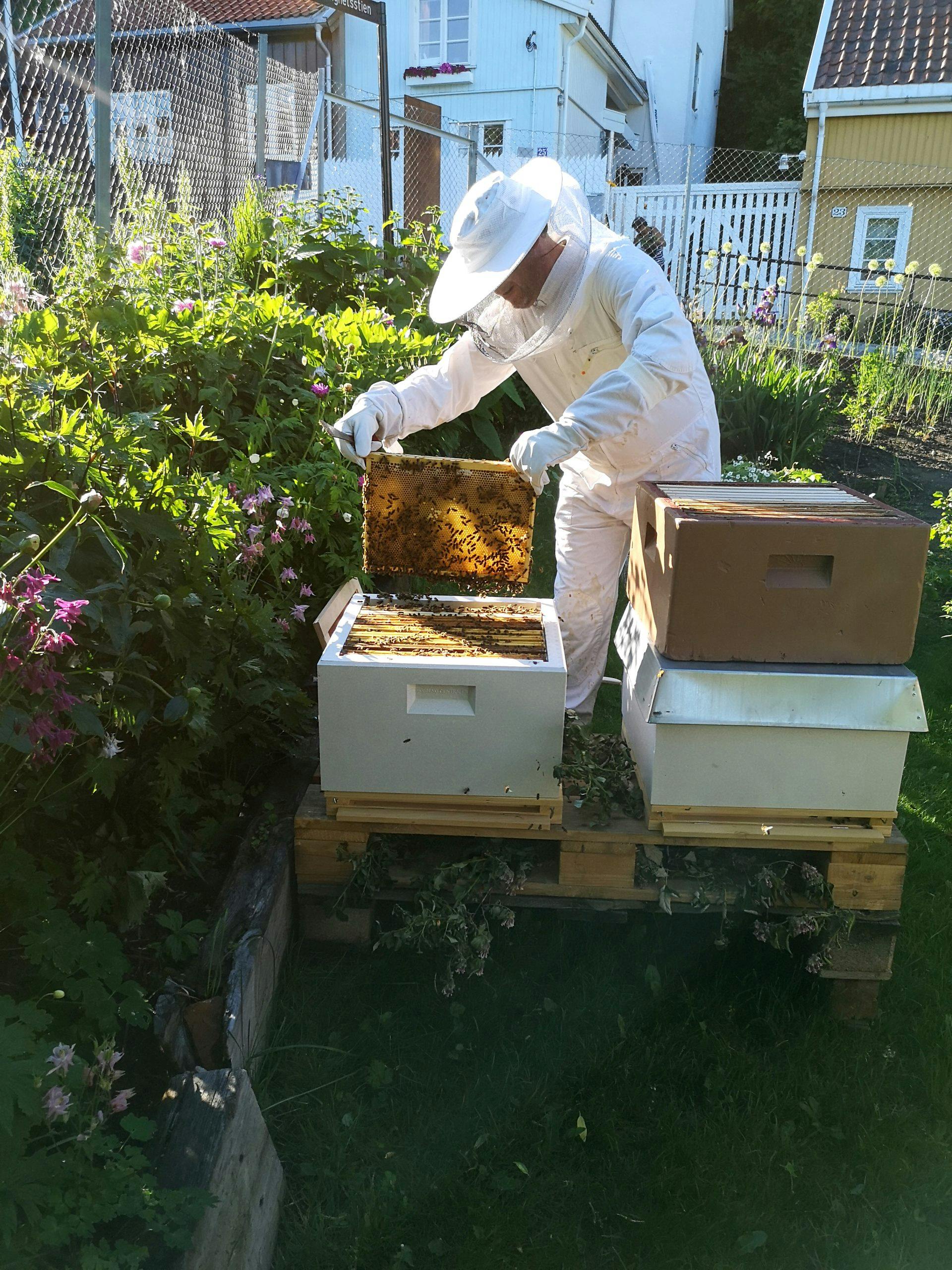 img 20200614 185002 kranierbier